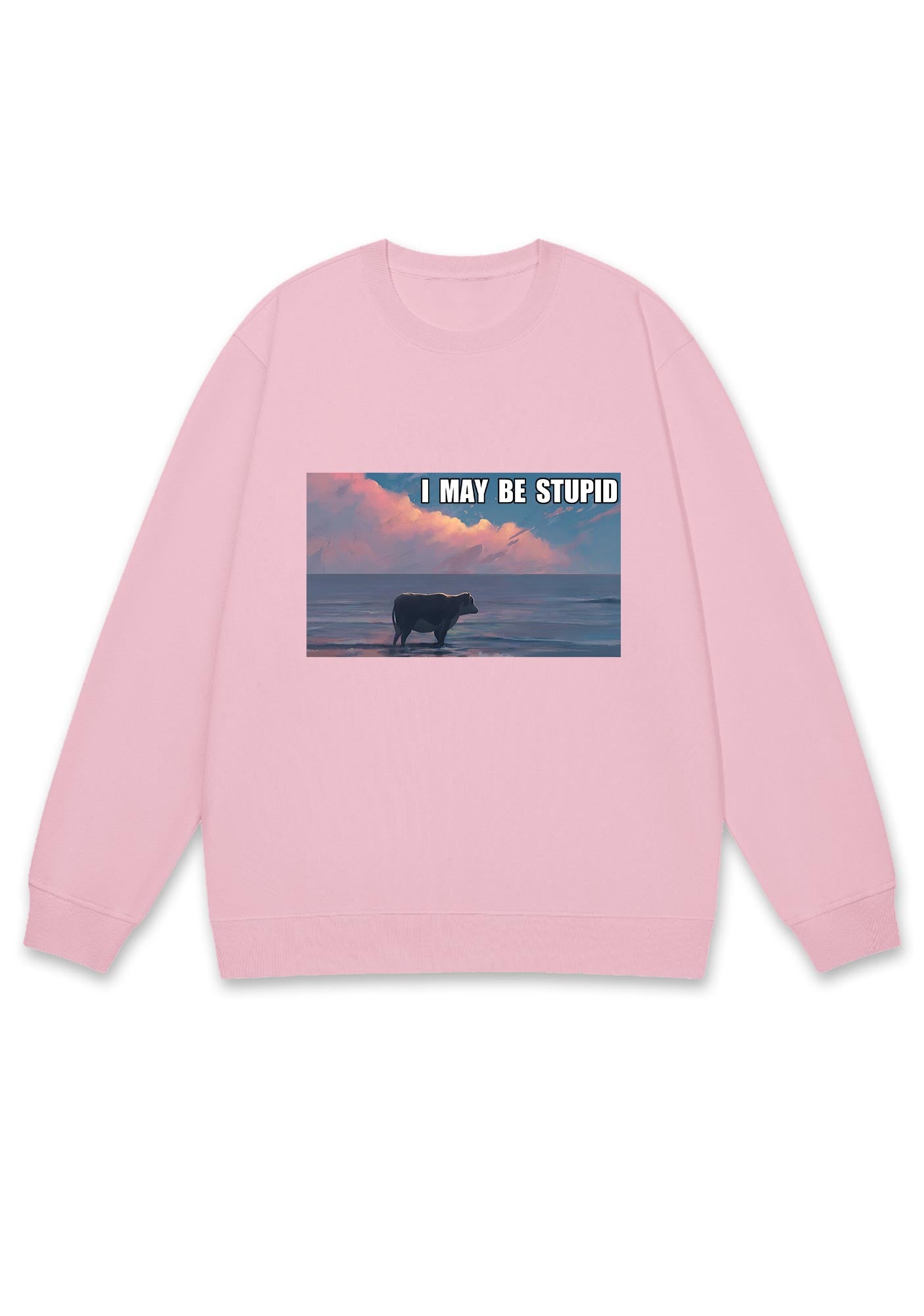 I May Be Stupid Meme Y2K Sweatshirt