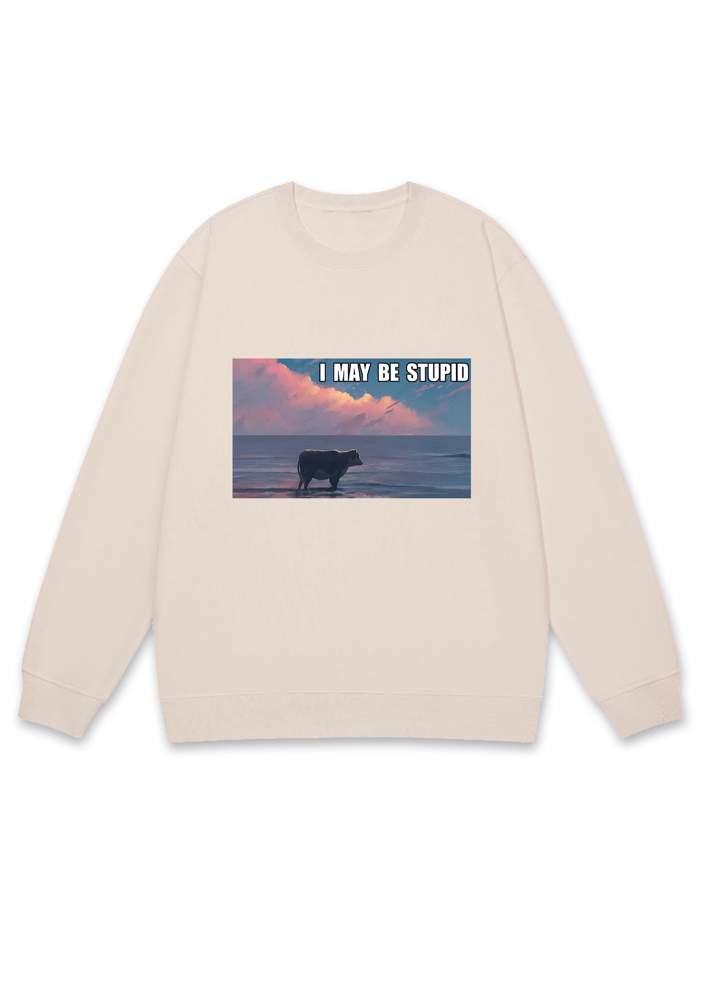 I May Be Stupid Meme Y2K Sweatshirt