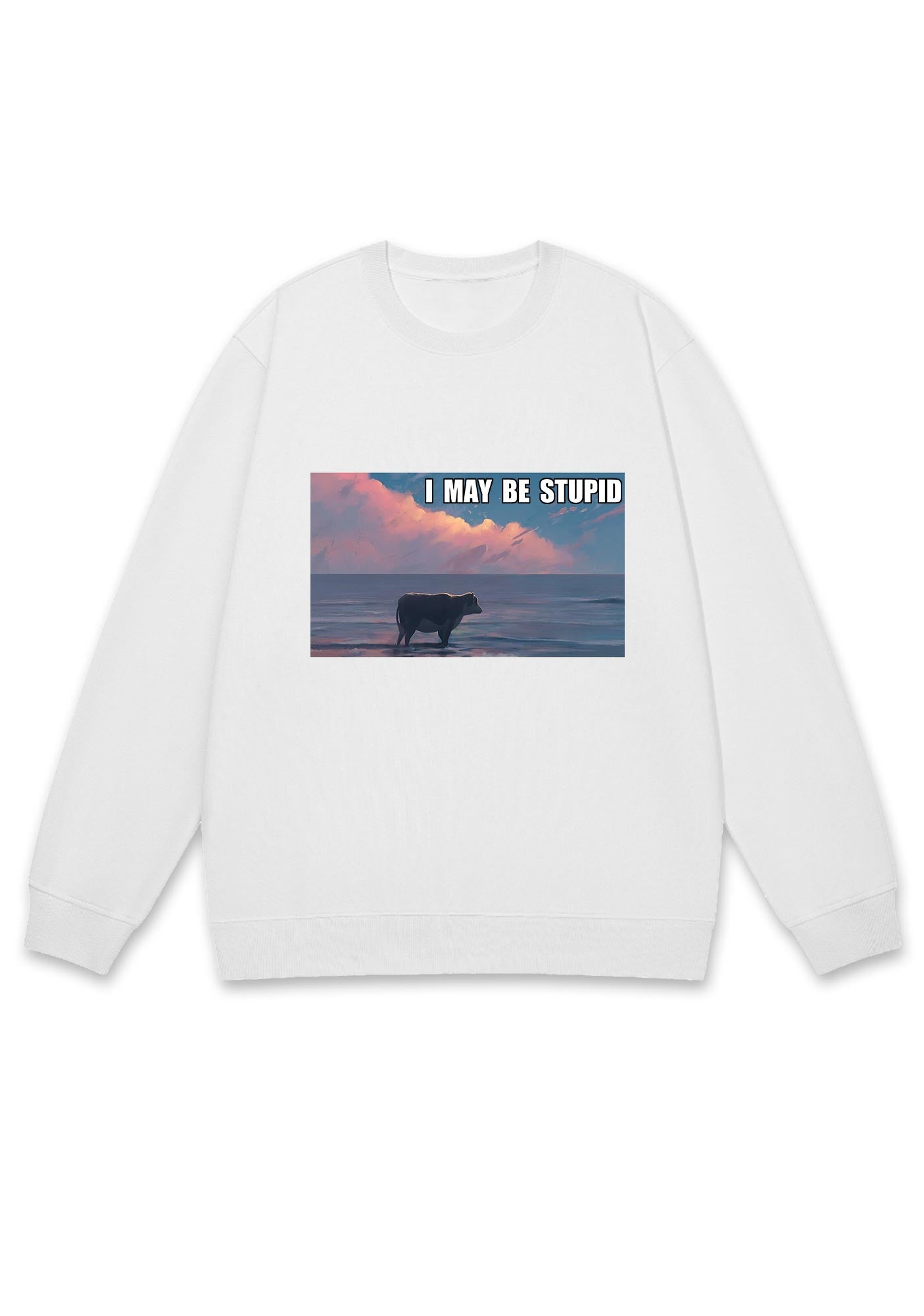 I May Be Stupid Meme Y2K Sweatshirt
