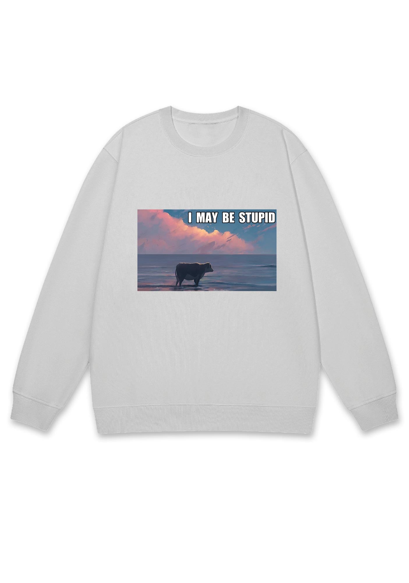 I May Be Stupid Meme Y2K Sweatshirt