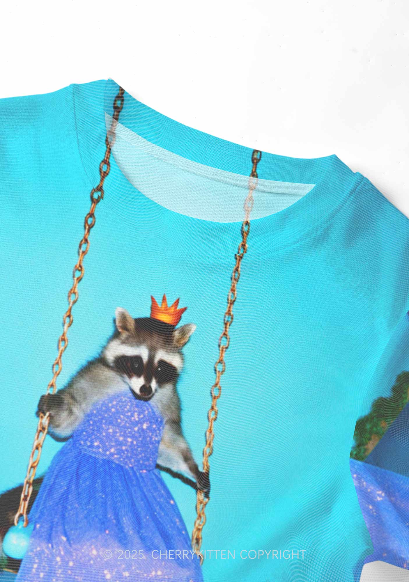 Princess Raccoon Y2K Mesh Crop Top Cherrykitten