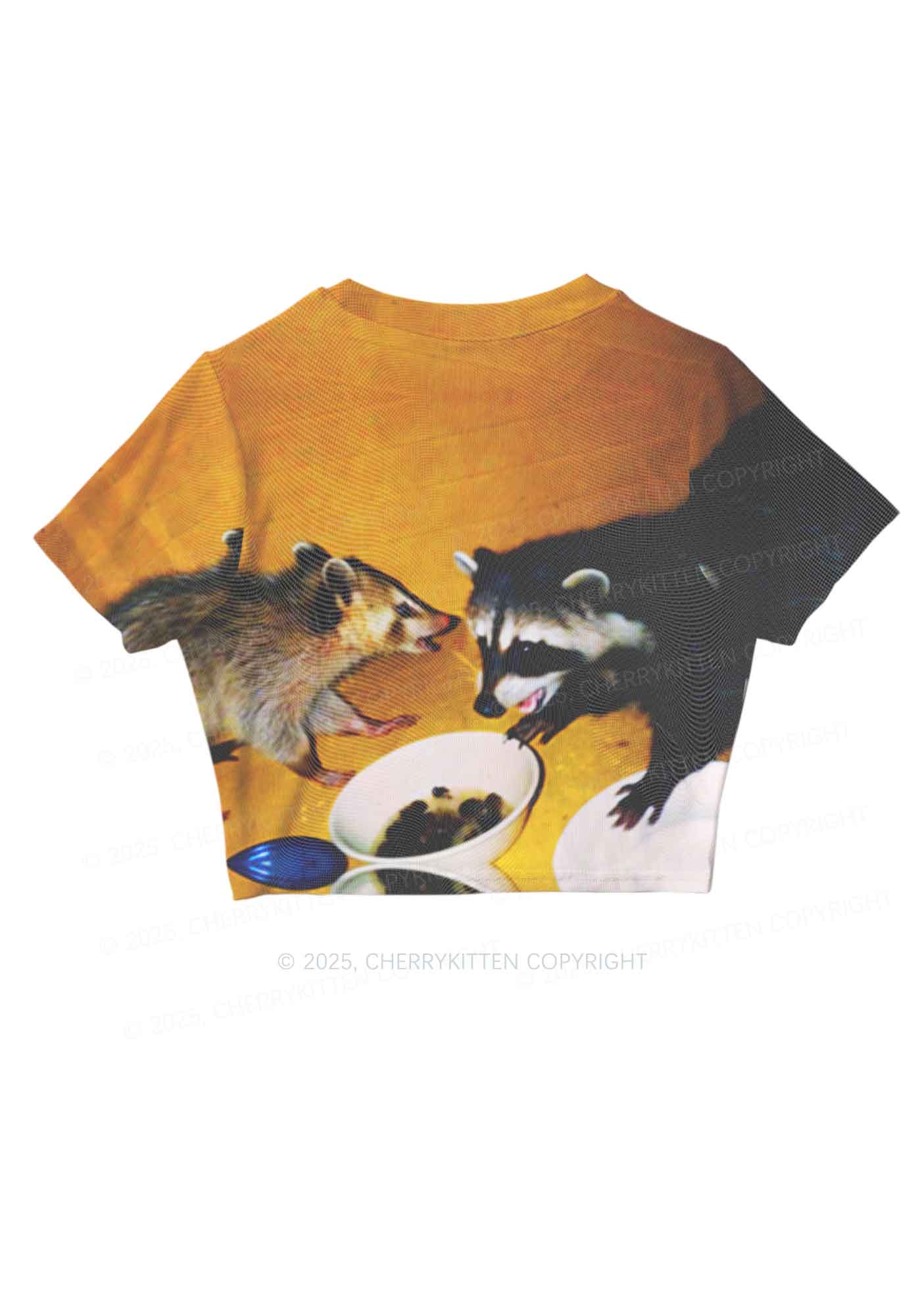 Raccoon Meal Y2K Mesh Crop Top Cherrykitten