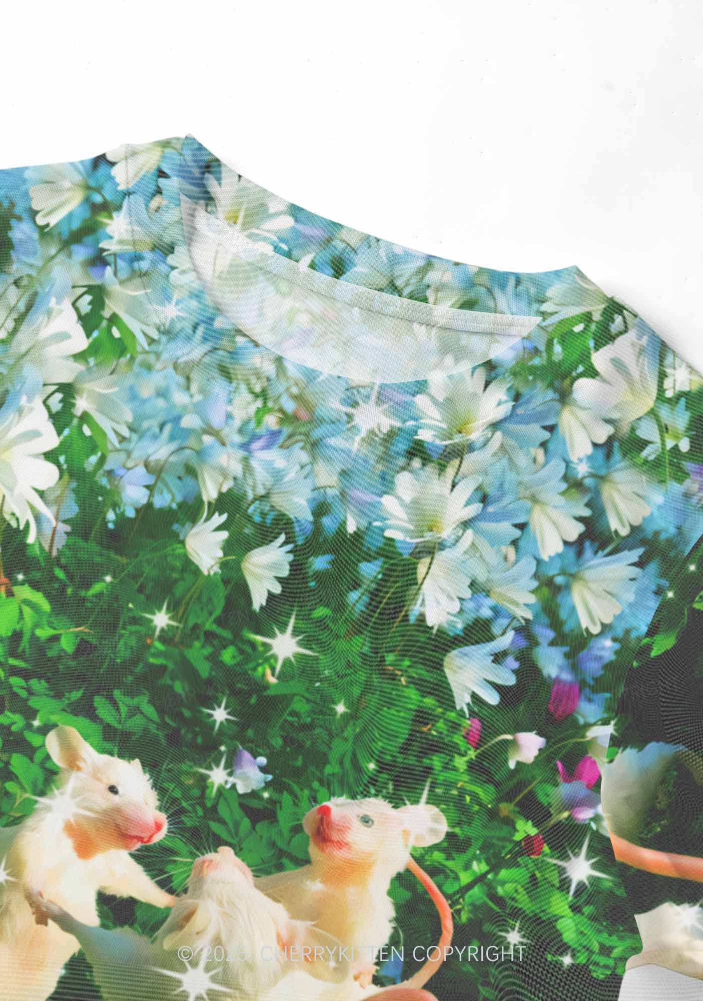 Dancing Rat Y2K Mesh Crop Top Cherrykitten Art by OhStuffinell Taxidermy