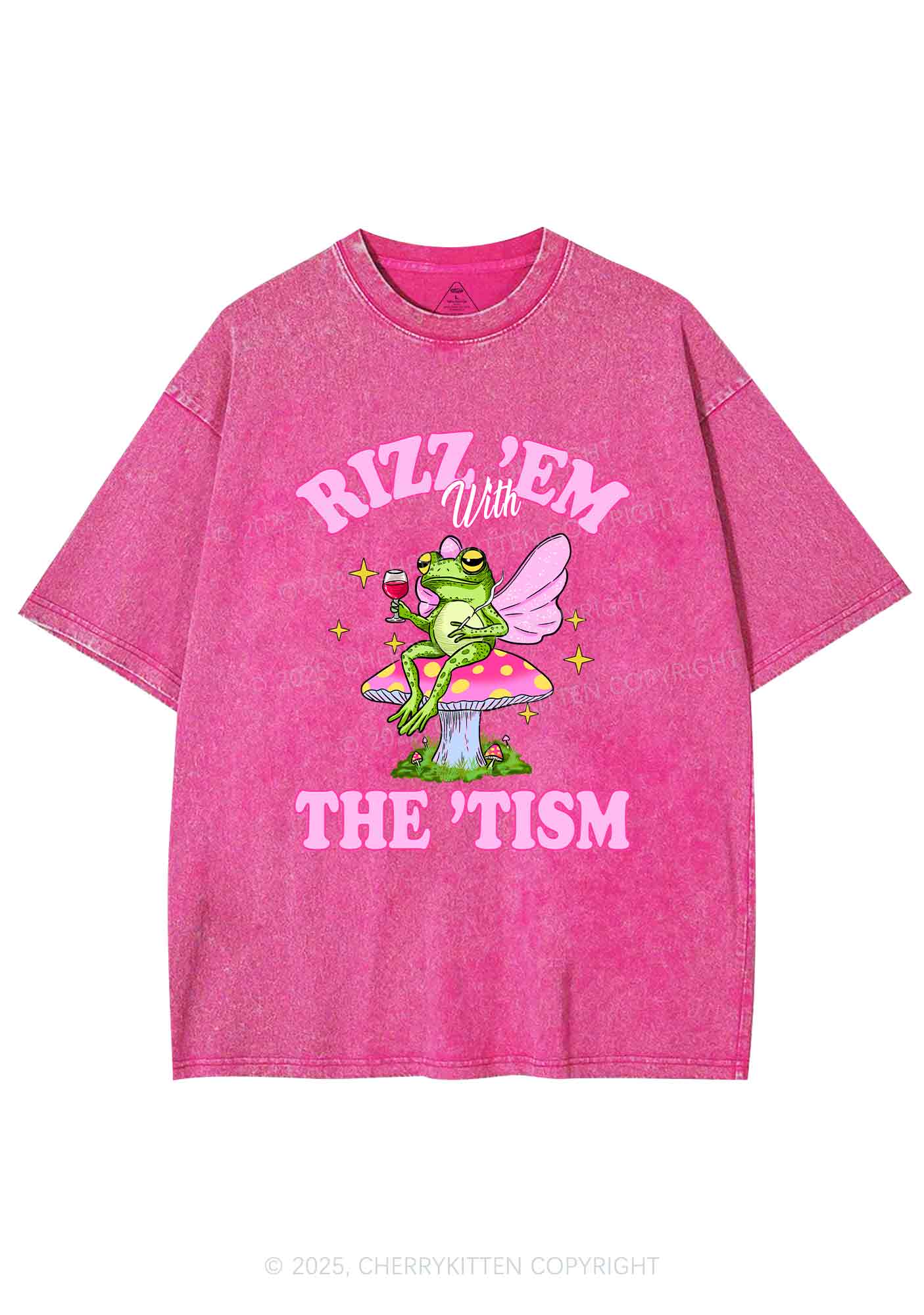Fairy Frog Rizz Tism Y2K Shirts Washed Tee Cherrykitten