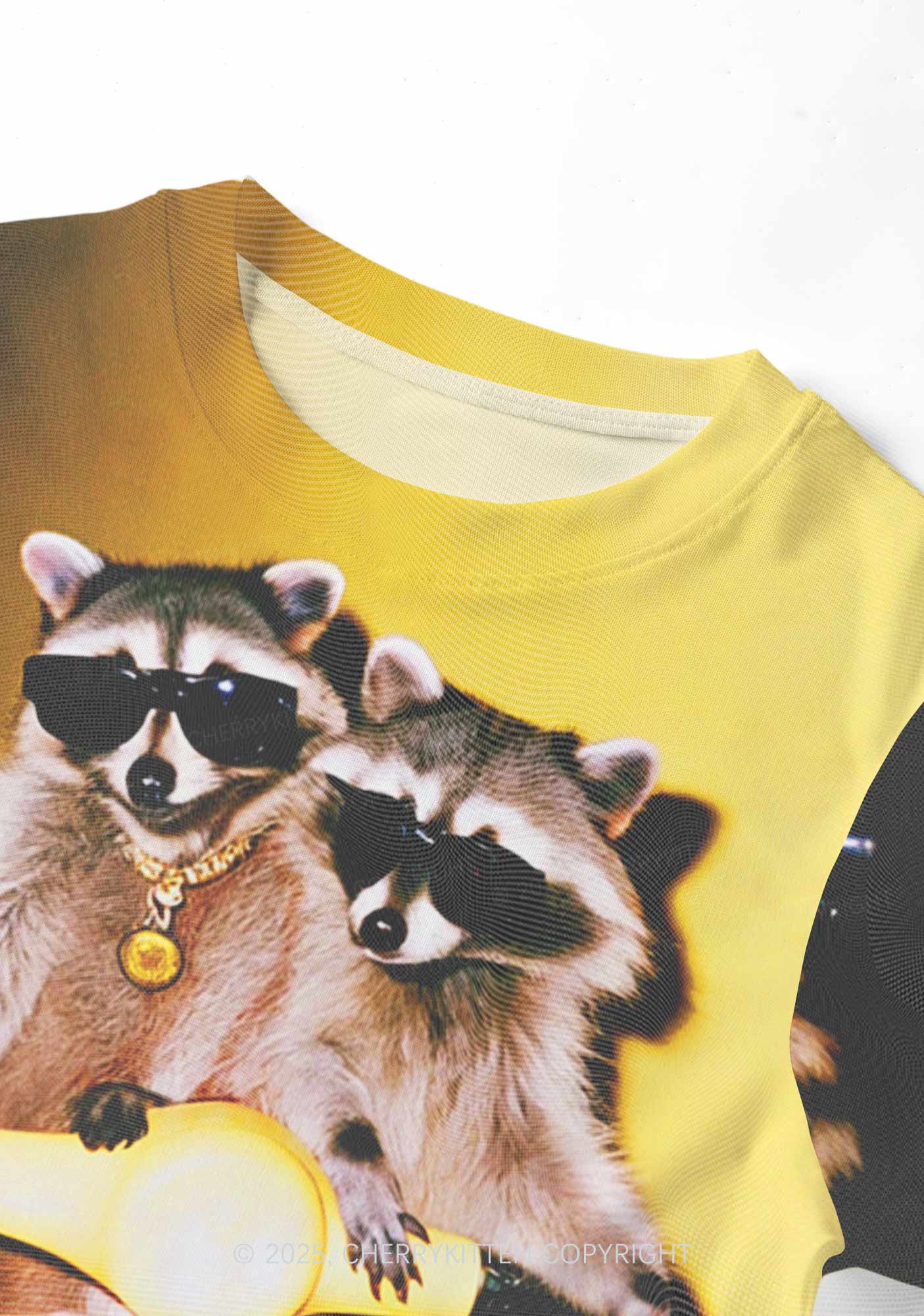 Raccoon Riders Y2K Mesh Crop Top Cherrykitten