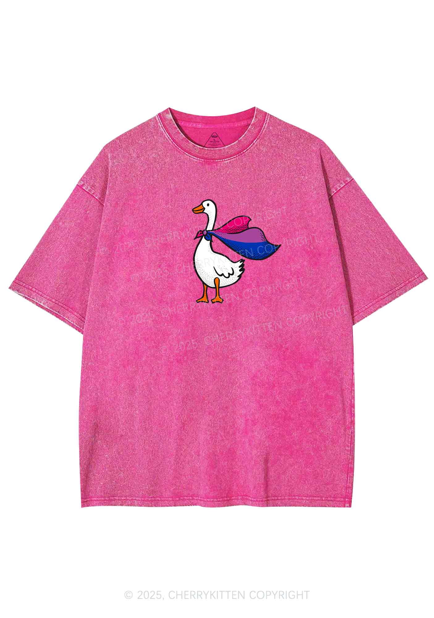 Bisexual Goose Pride Y2K Shirts Washed Tee Cherrykitten