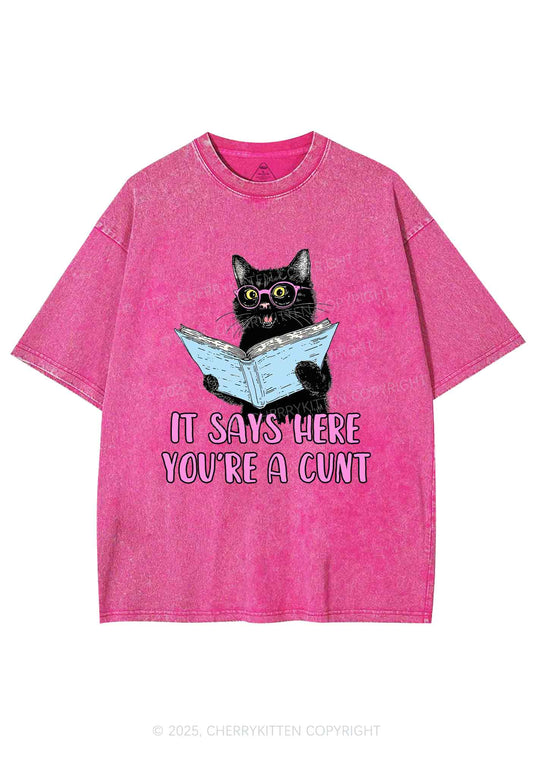 You Are A Cxxt Y2K Shirts Washed Tee Cherrykitten