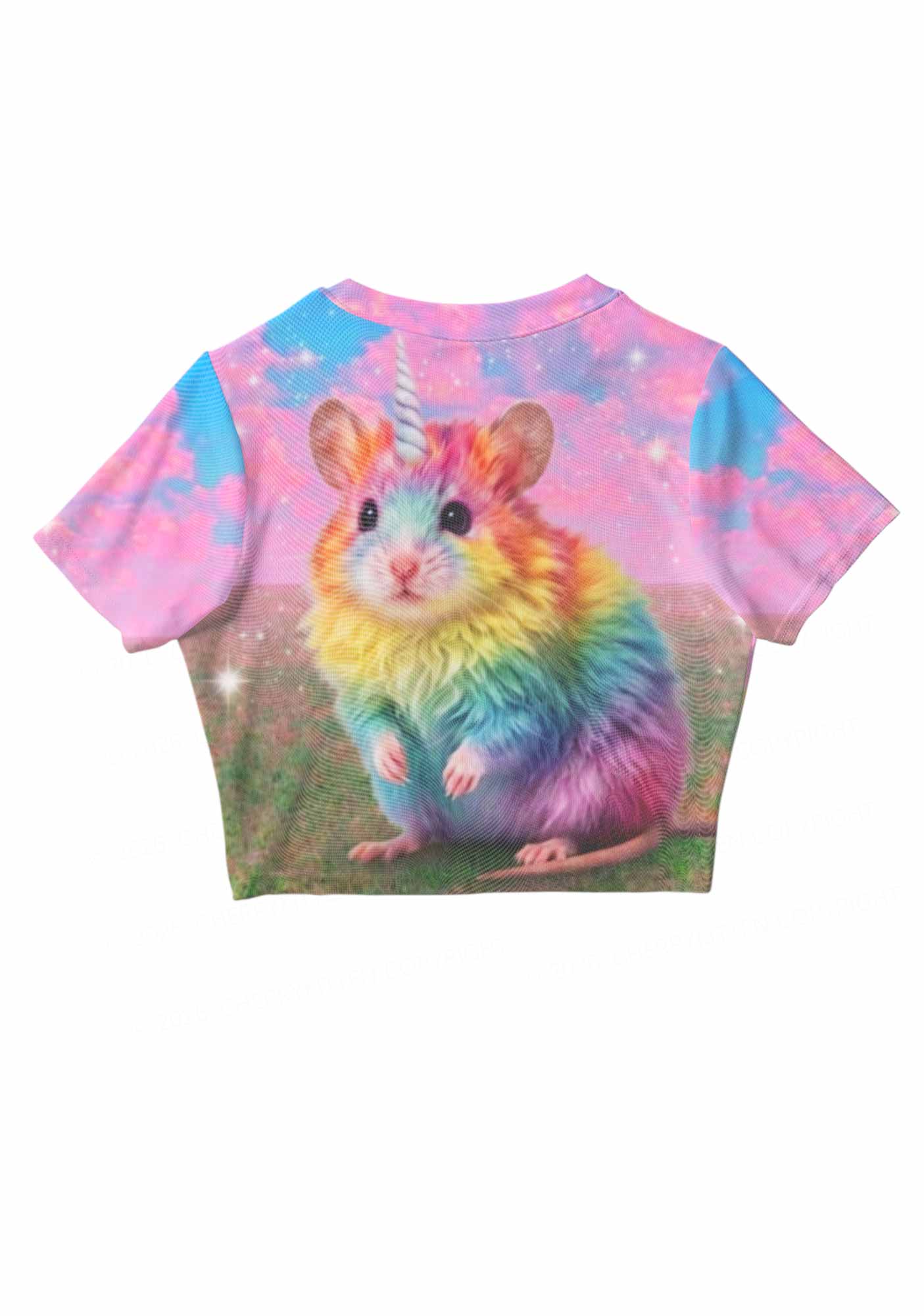 Unicorn Rat Pride Y2K Mesh Crop Top Cherrykitten