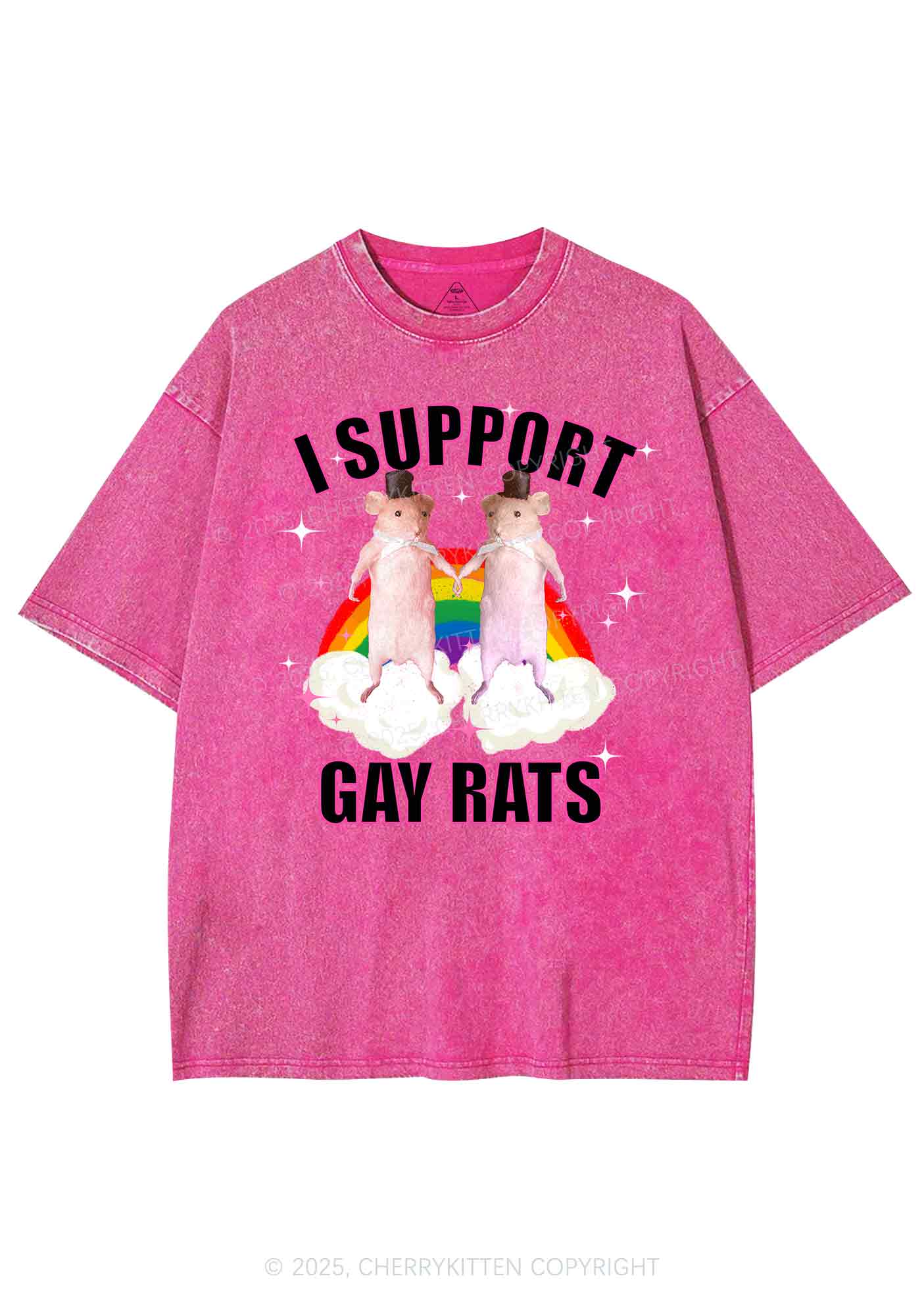 Support Gay Rats Pride Y2K Shirts Washed Tee Cherrykitten