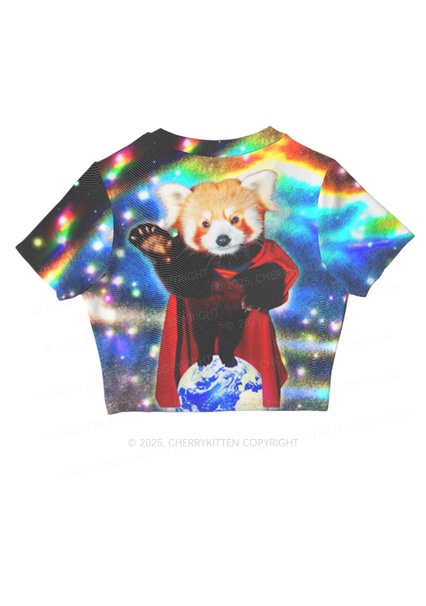 Super Raccoon Y2K Mesh Crop Top Cherrykitten
