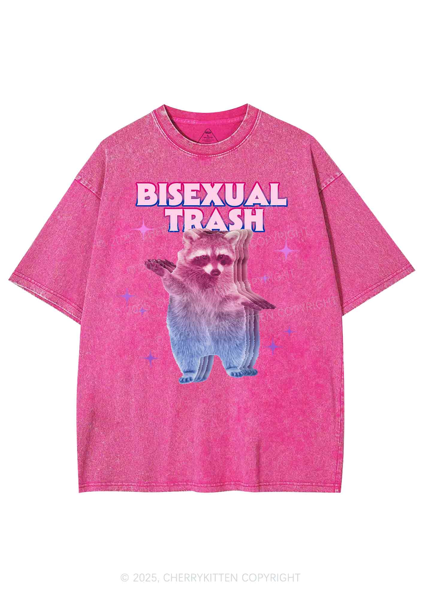 Bisexual Trash Raccoon Pride Y2K Shirts Washed Tee Cherrykitten