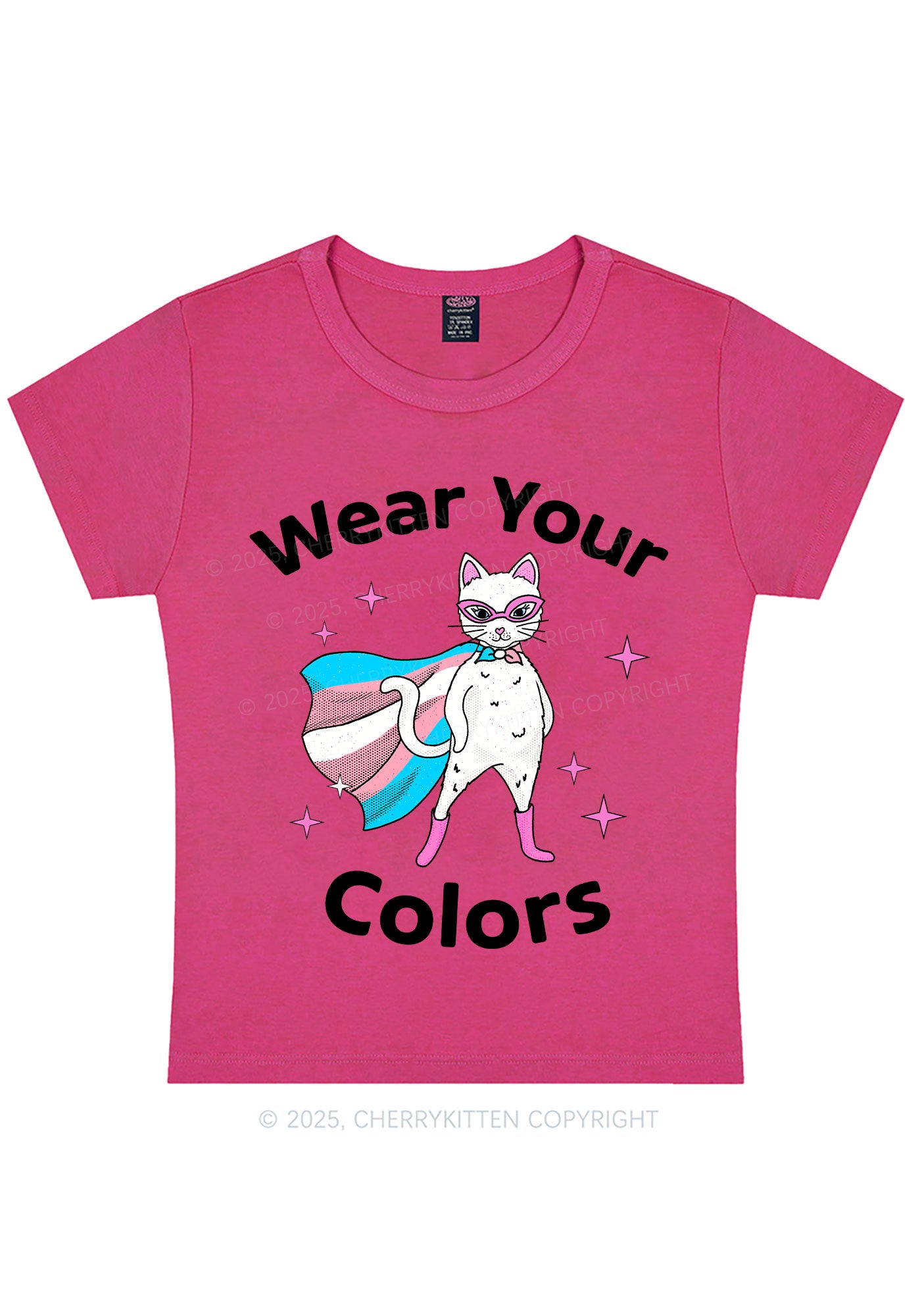 Transgender Flag Cat Pride Y2K Baby Tee Cherrykitten