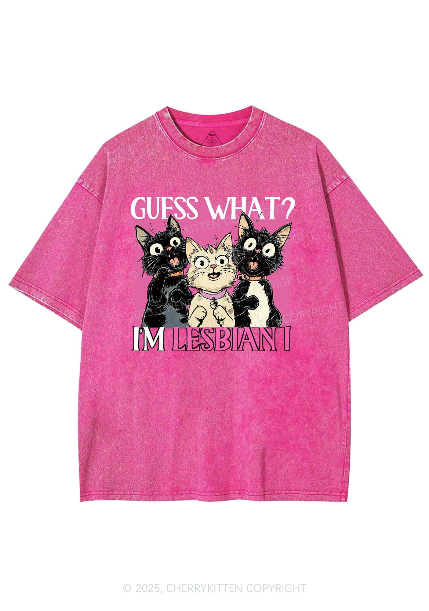 Im Lesbian Cat Pride Y2K Shirts Washed Tee Cherrykitten