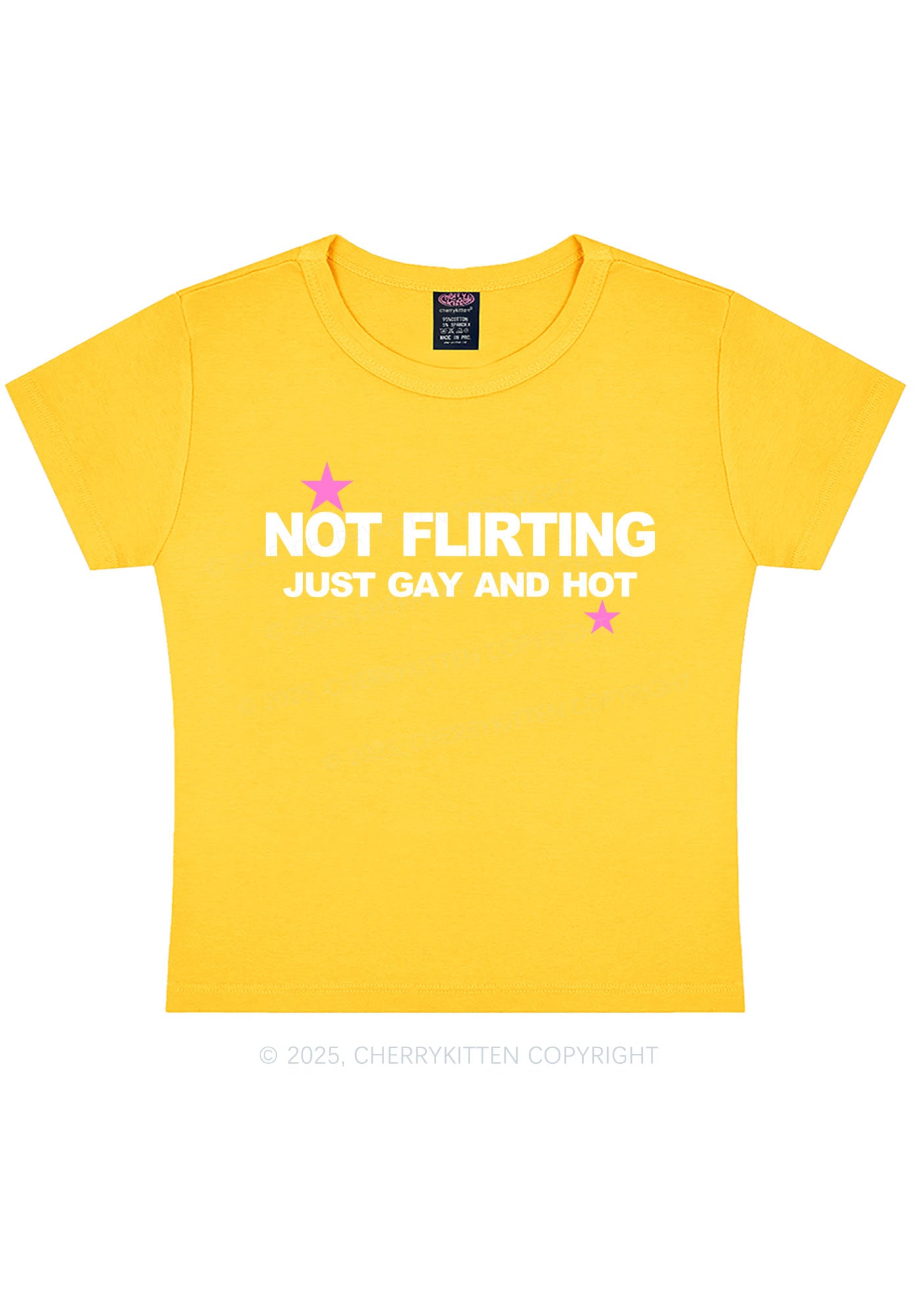 Not Flirting Pride Y2K Baby Tee Cherrykitten