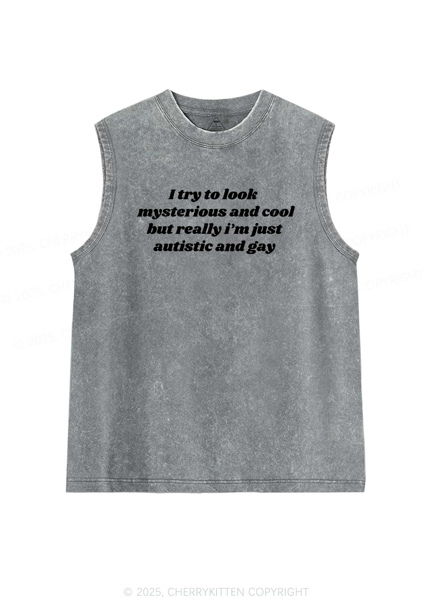 Im Just Autistic And Gay Pride Y2K Washed Muscle Tank Cherrykitten