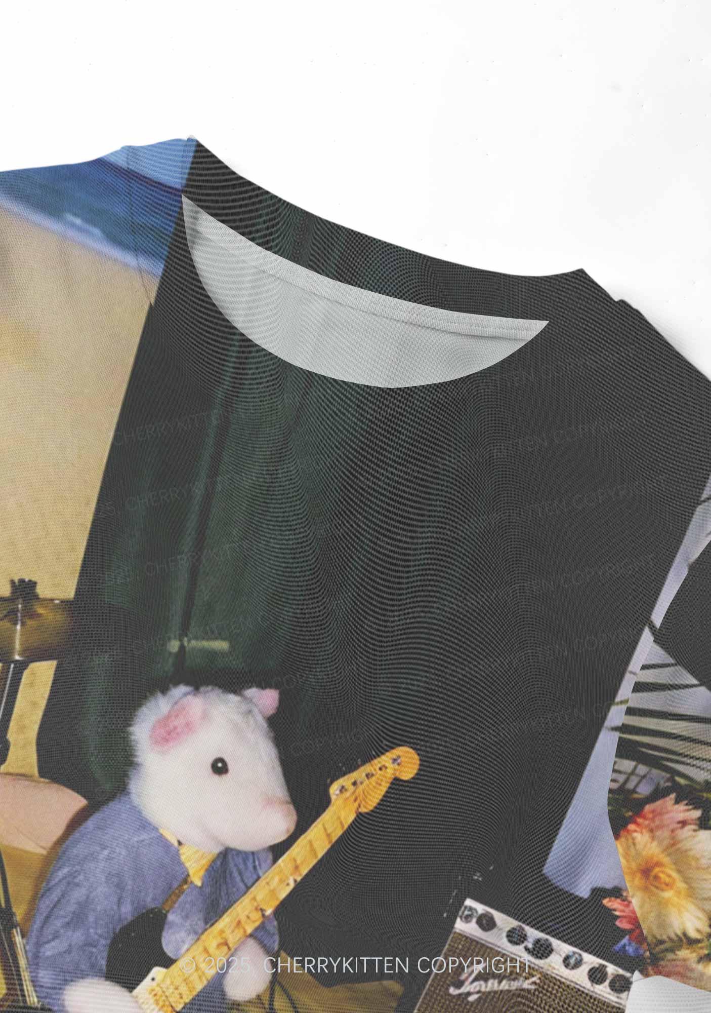 Hamster Rock Band Y2K Mesh Crop Top Cherrykitten