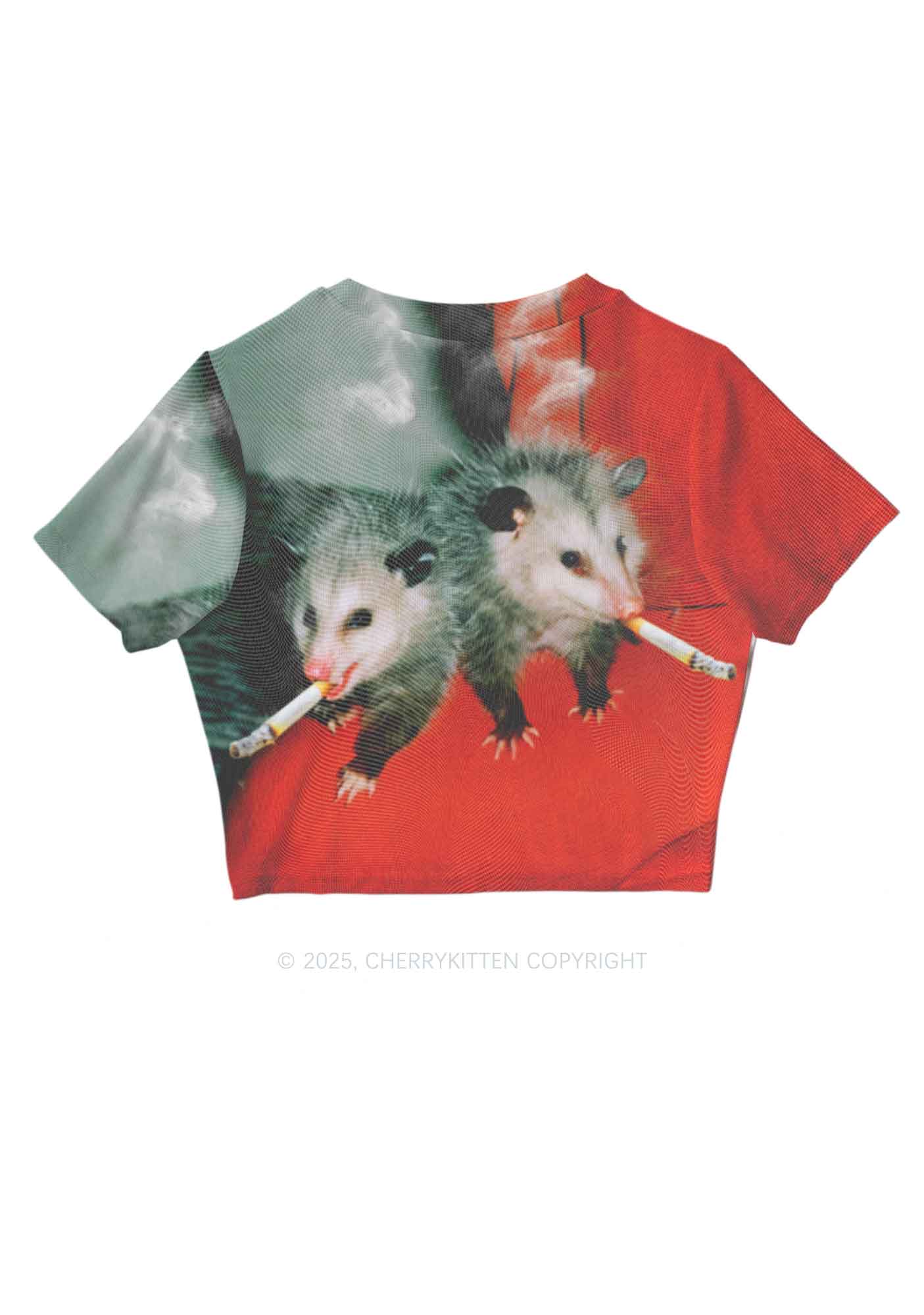 Smoking Badass Rats Y2K Mesh Crop Top Cherrykitten