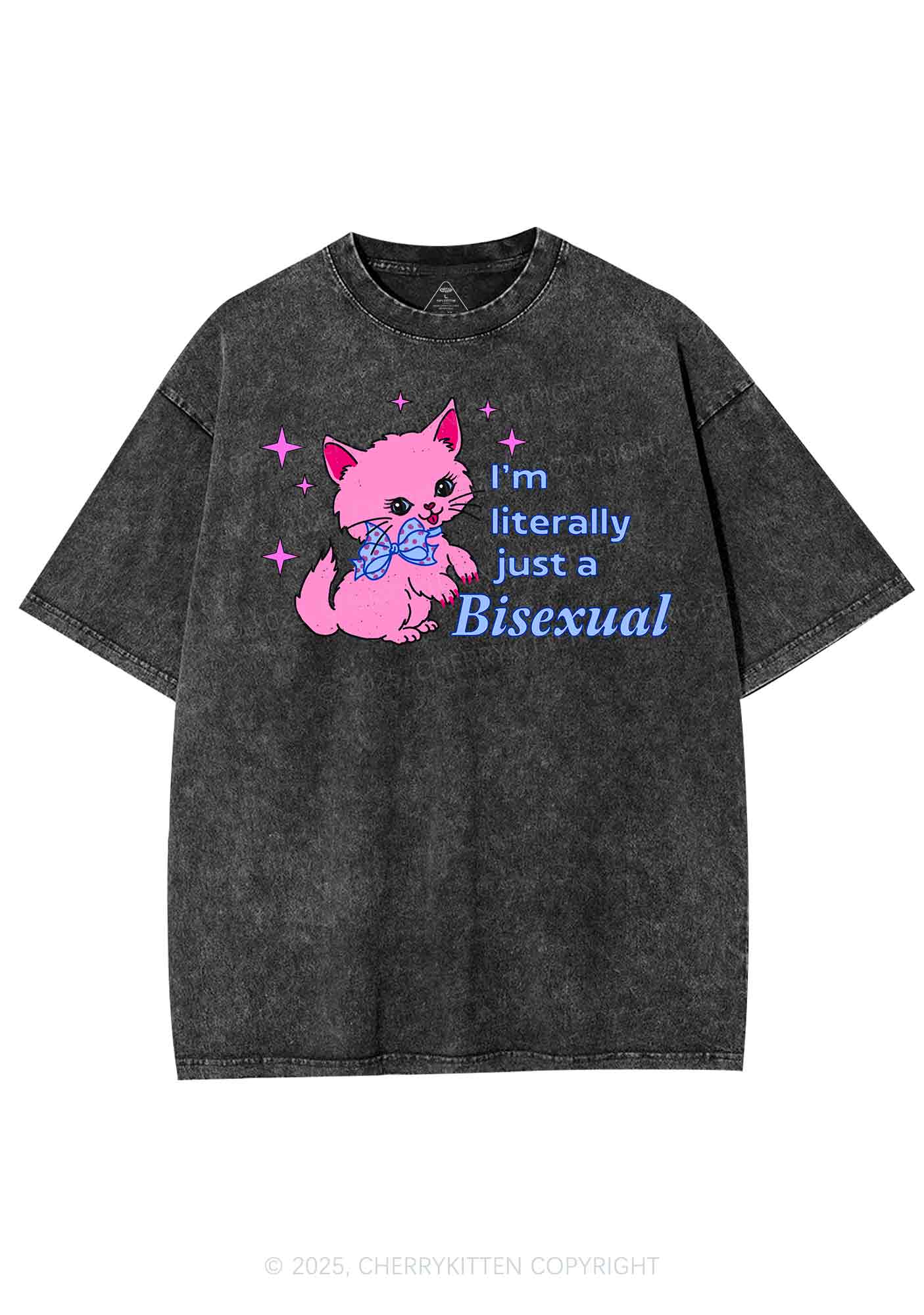 Literally Just A Bisexual Pride Y2K Shirts Washed Tee Cherrykitten