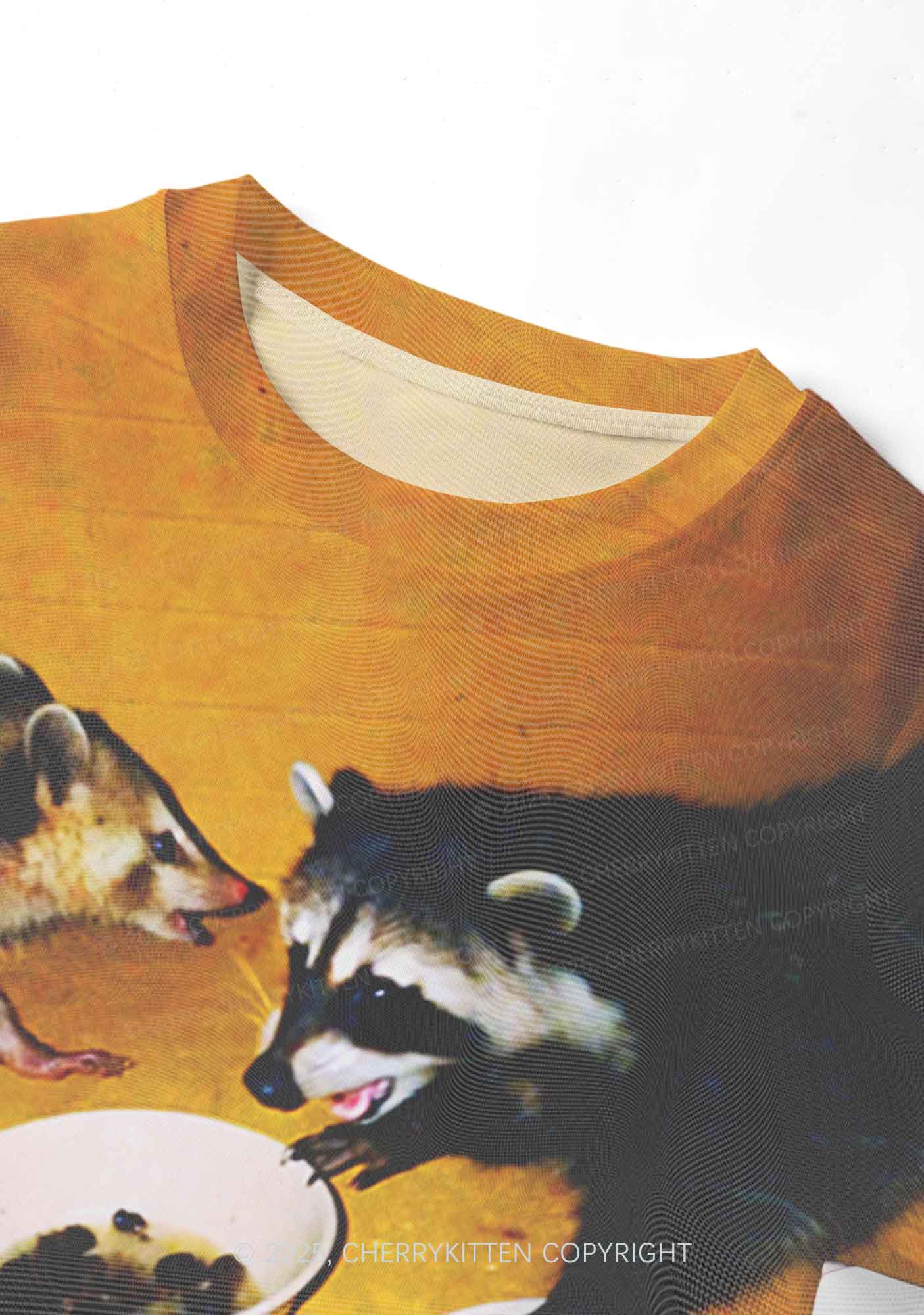 Raccoon Meal Y2K Mesh Crop Top Cherrykitten