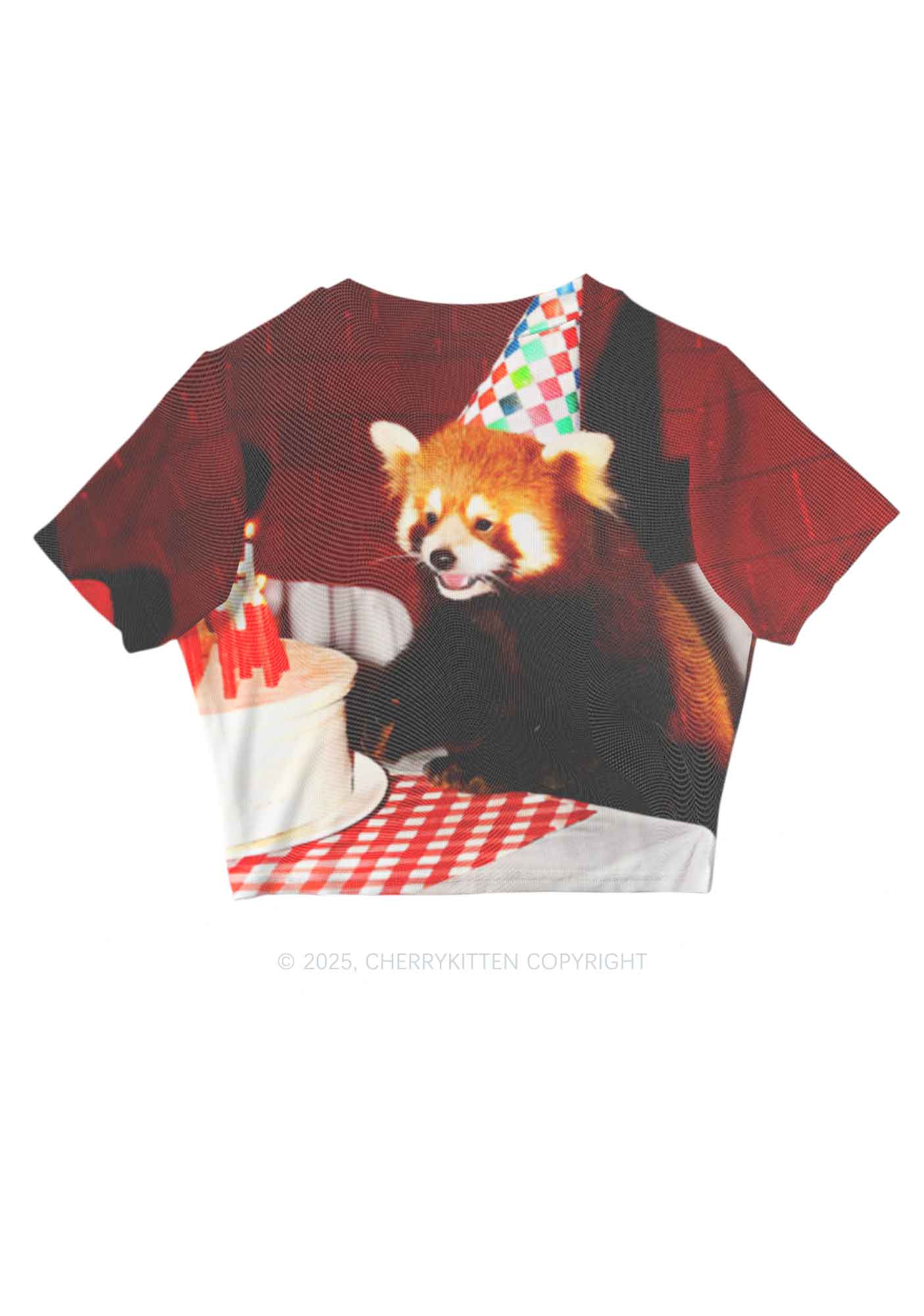 Birthday Cake Raccoon Y2K Mesh Crop Top Cherrykitten