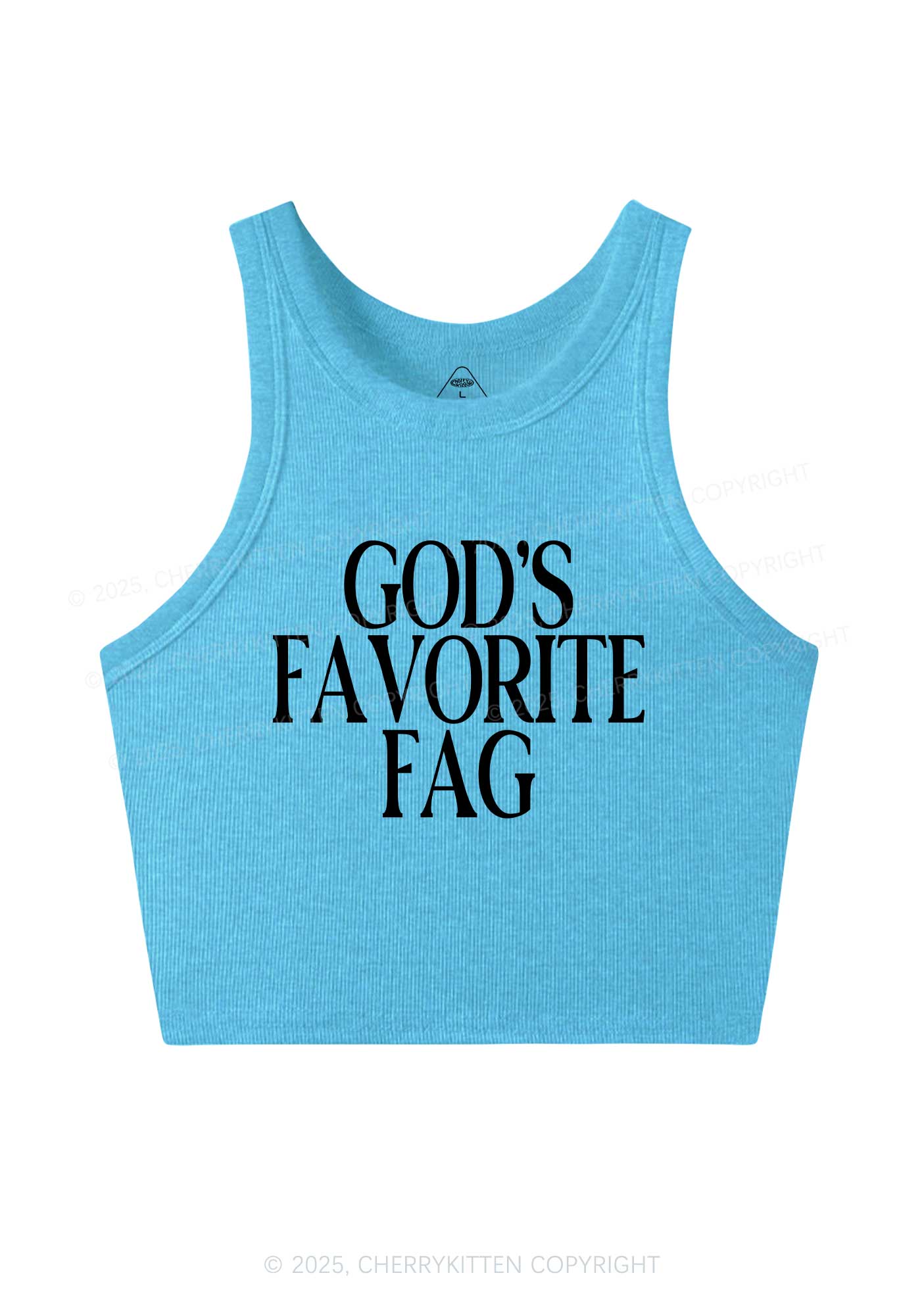Gods Favorite Fag Pride Y2K Crop Tank Top Cherrykitten
