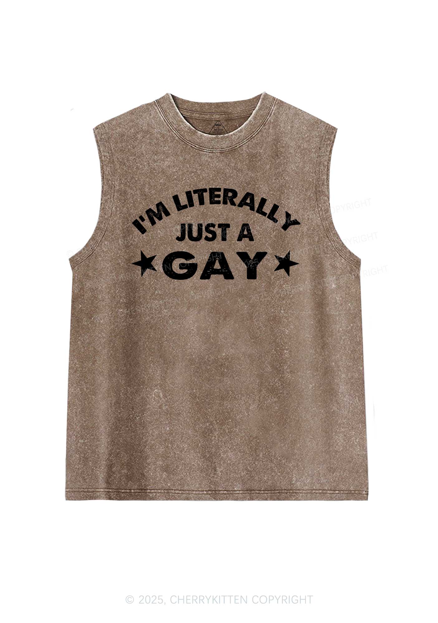 Literally Just A Gay Pride Y2K Washed Muscle Tank Cherrykitten