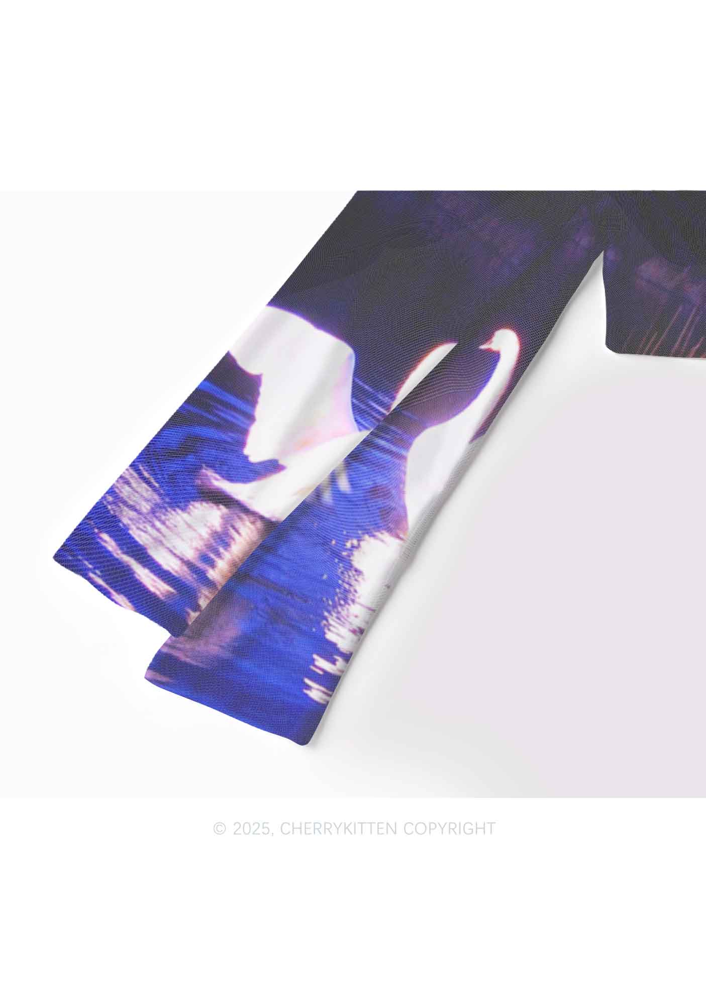 Swans on Water Y2K Mesh Long Sleeve Crop Top Cherrykitten