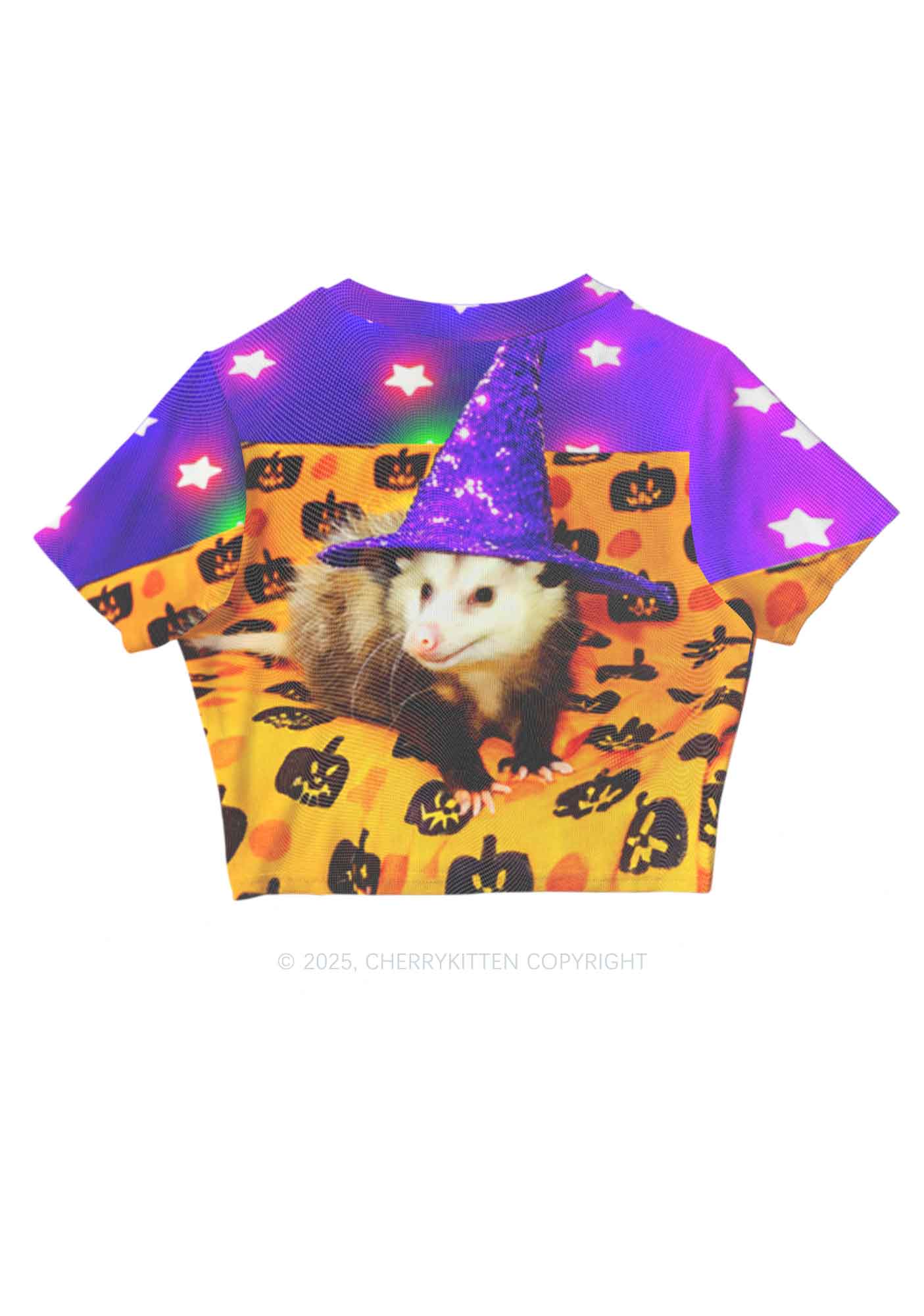 Halloween Sparkle Witch Ratz Y2K Mesh Crop Top Cherrykitten