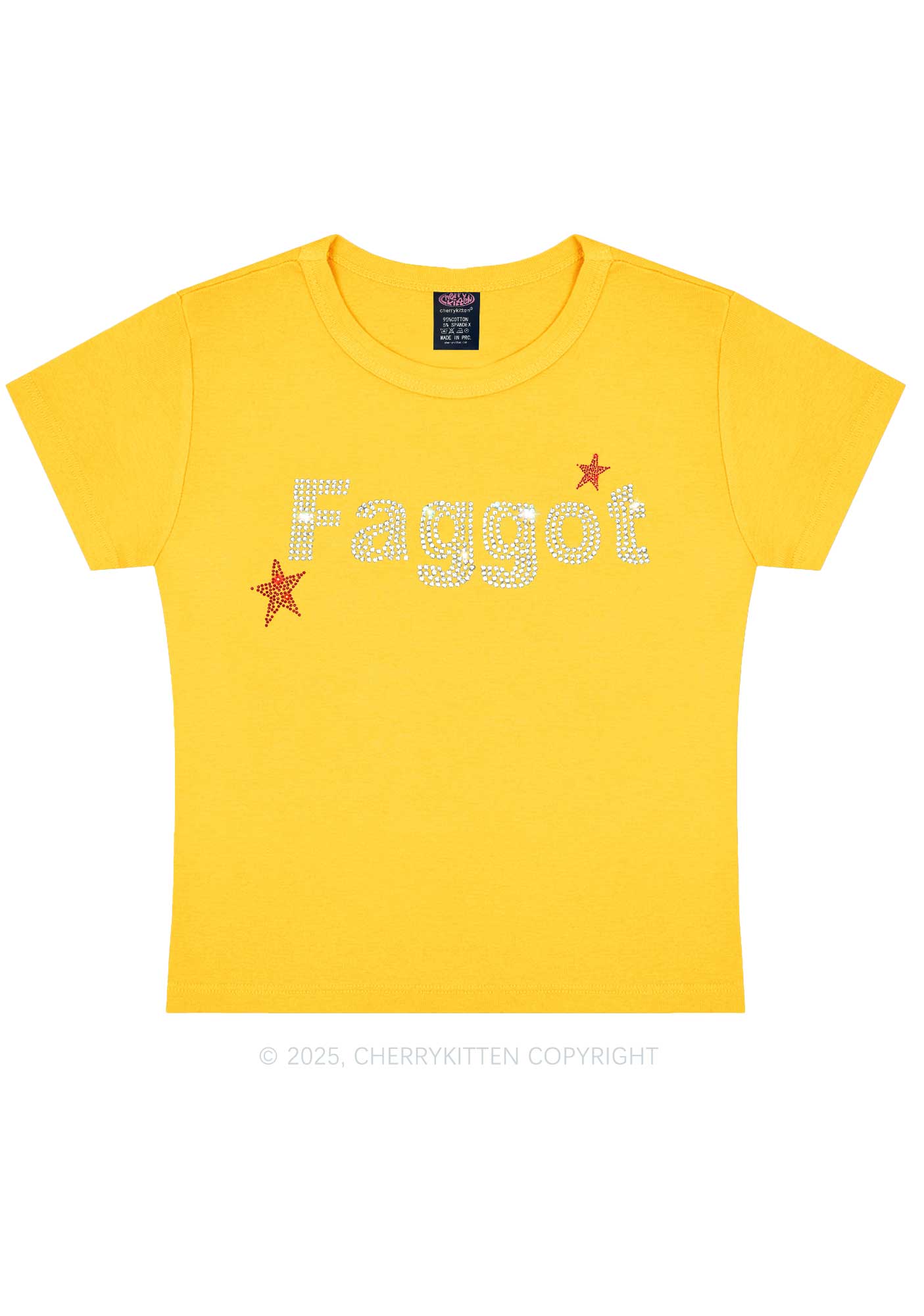 Rhinestone Faggot Pride Y2K Baby Tee Cherrykitten