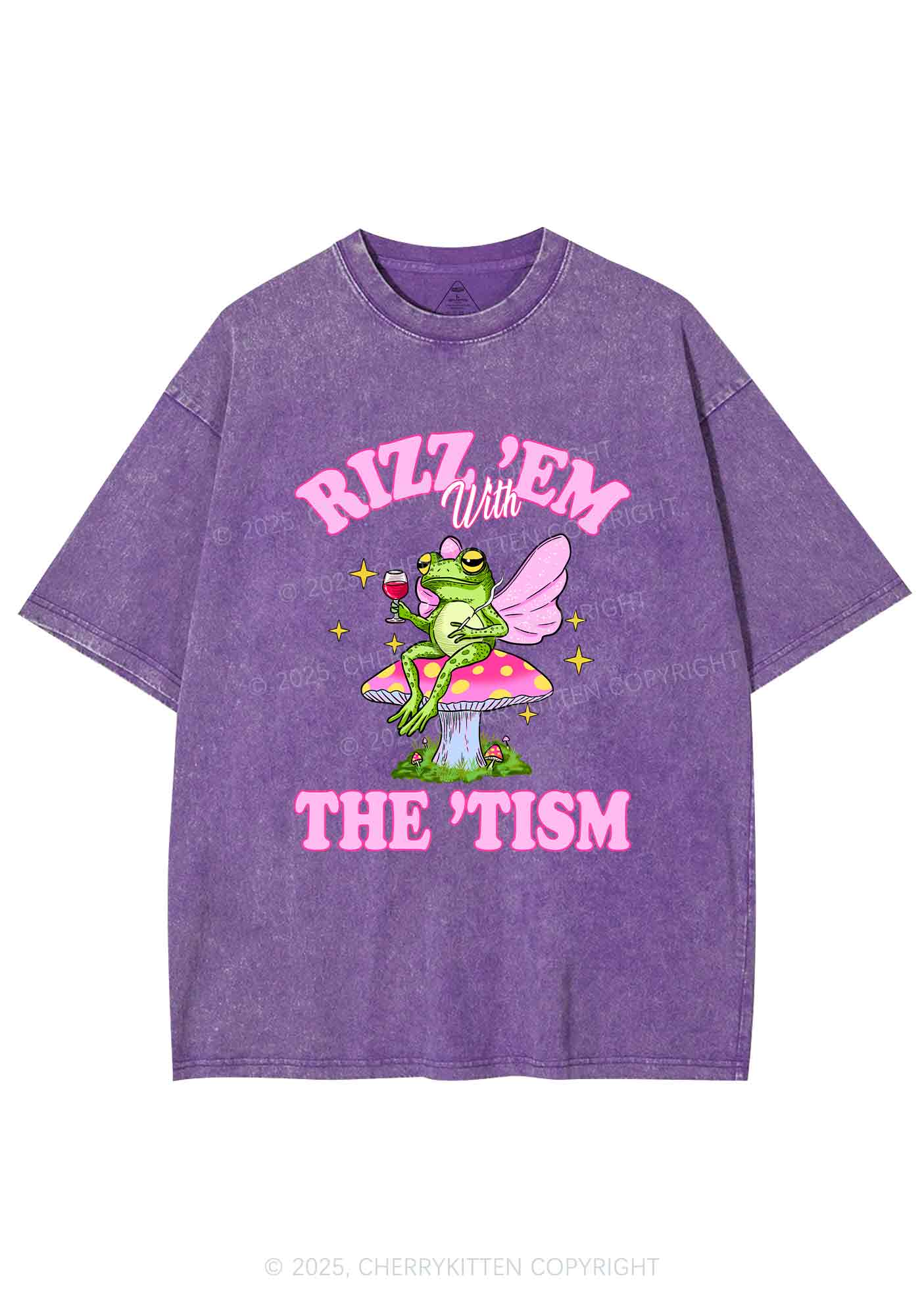Fairy Frog Rizz Tism Y2K Shirts Washed Tee Cherrykitten