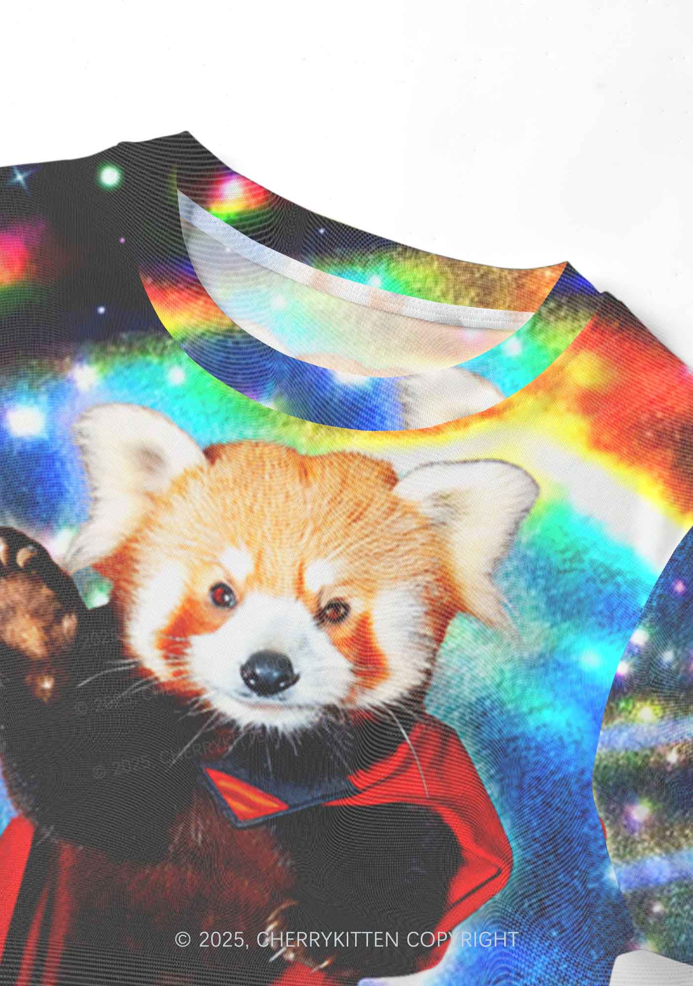 Super Raccoon Y2K Mesh Crop Top Cherrykitten