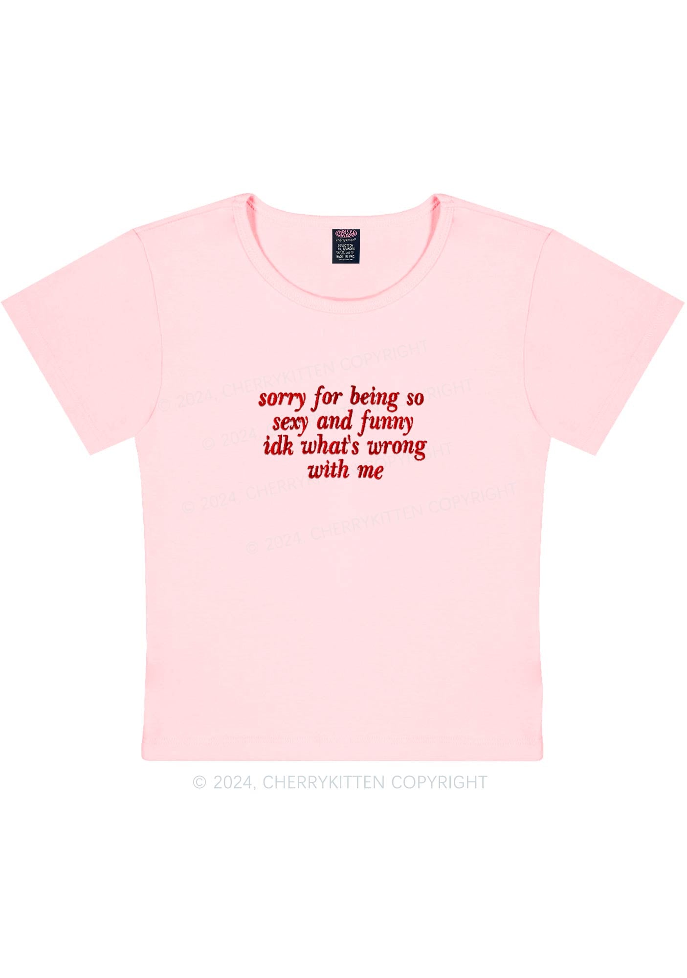 Embroidered Sorry For Being So Funny Y2K Baby Tee Cherrykitten