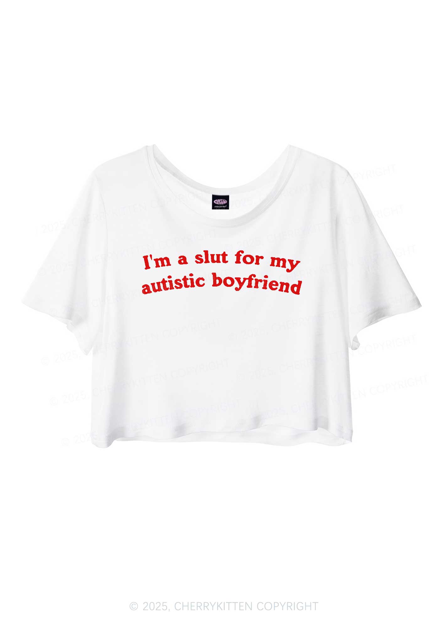 Slxt For My Autistic BF Y2K Sheer Crop Tee Cherrykitten