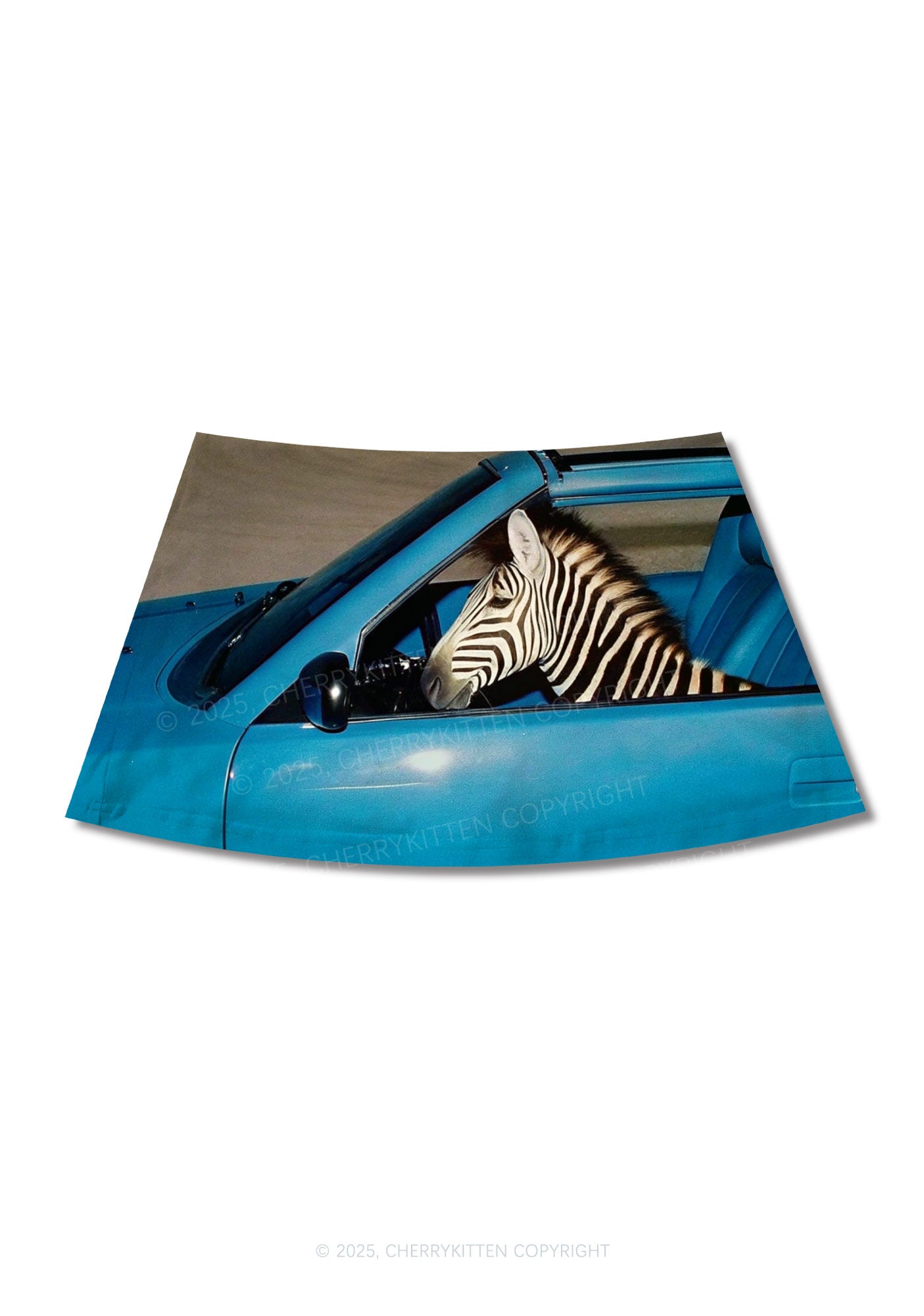 Zebra Driver Y2K Print Mini Skirt Cherrykitten