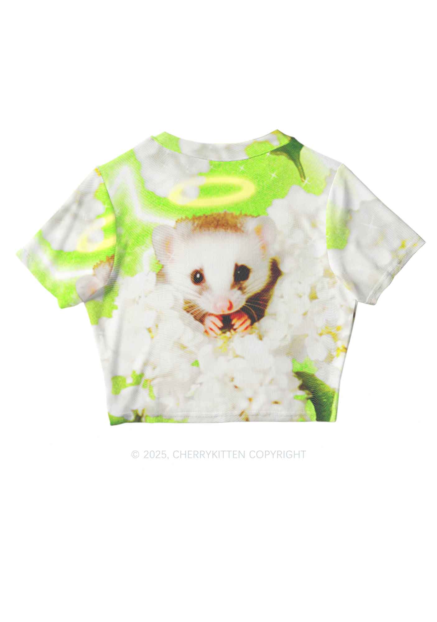 Flower Angel Ratz Y2K Mesh Crop Top Cherrykitten