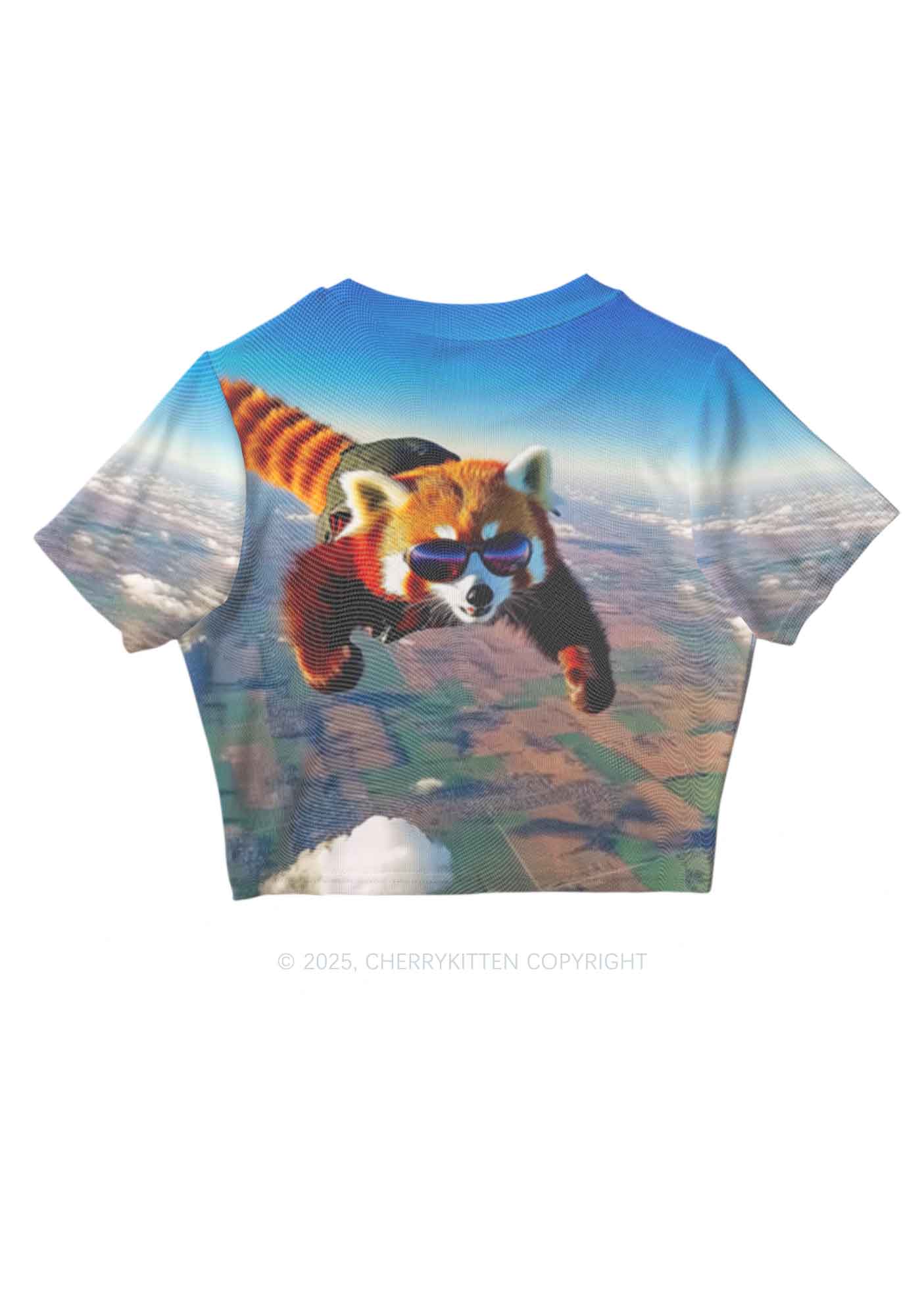 Flying Cool Raccoon Y2K Mesh Crop Top Cherrykitten