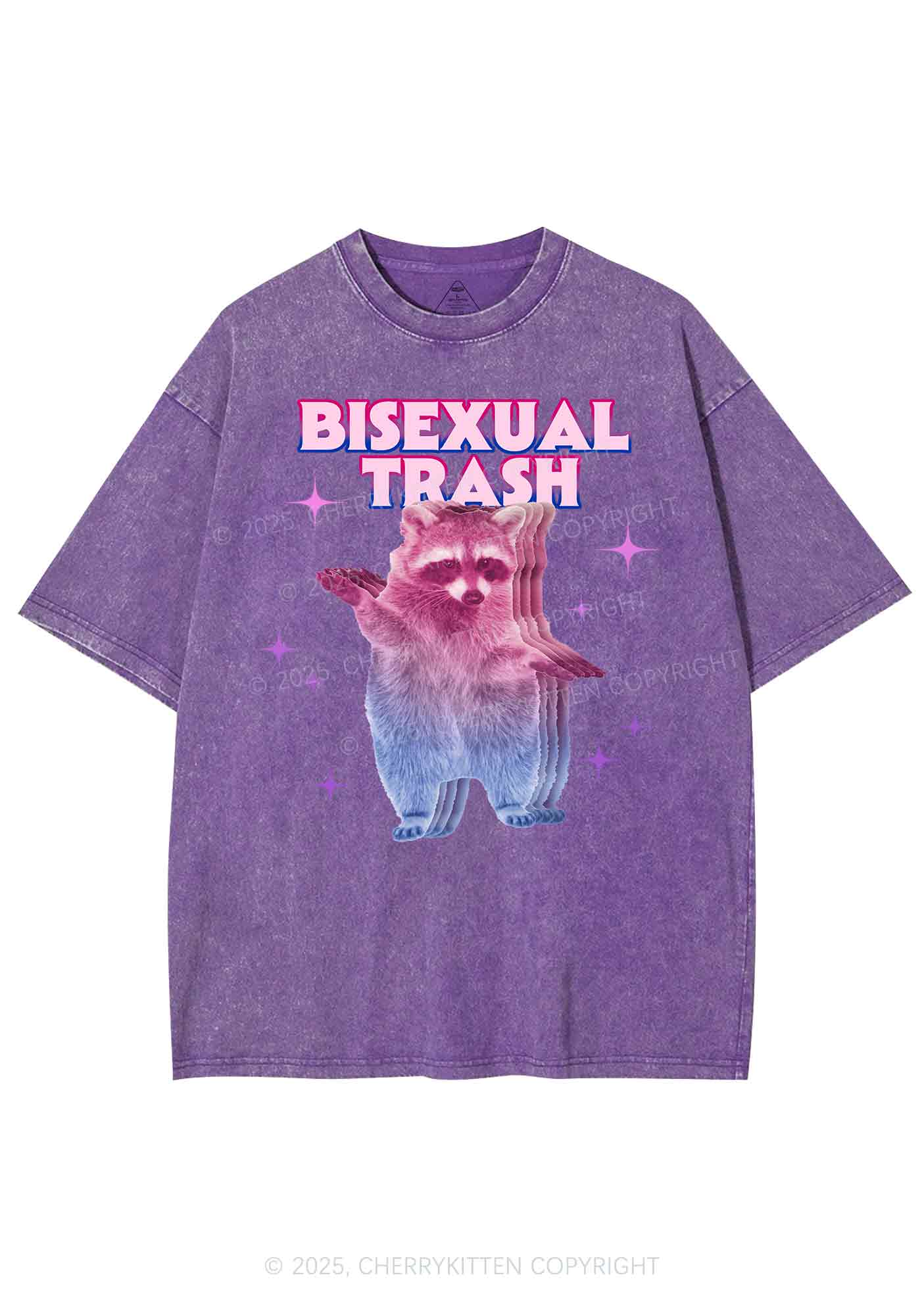 Bisexual Trash Raccoon Pride Y2K Shirts Washed Tee Cherrykitten