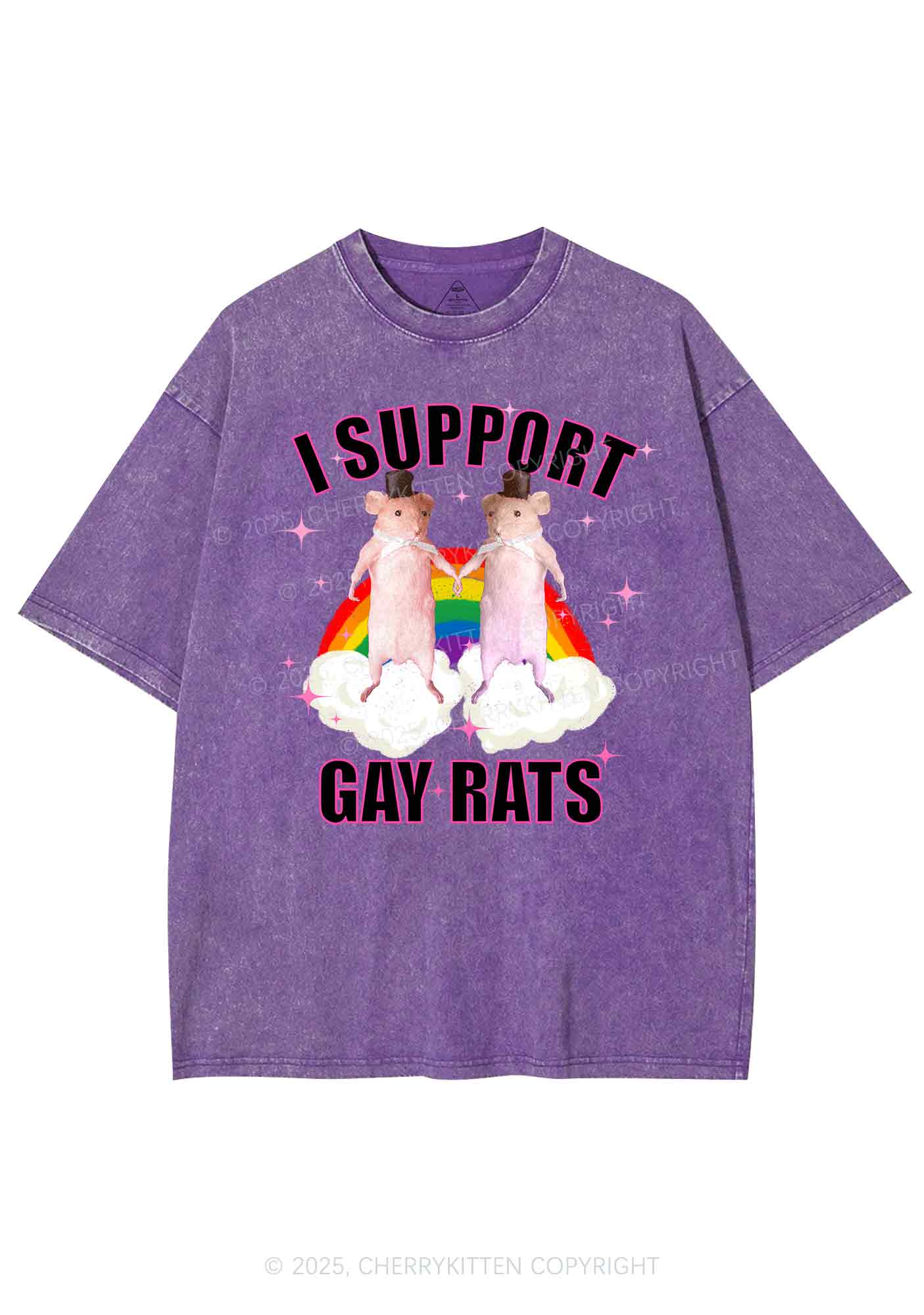 Support Gay Rats Pride Y2K Shirts Washed Tee Cherrykitten