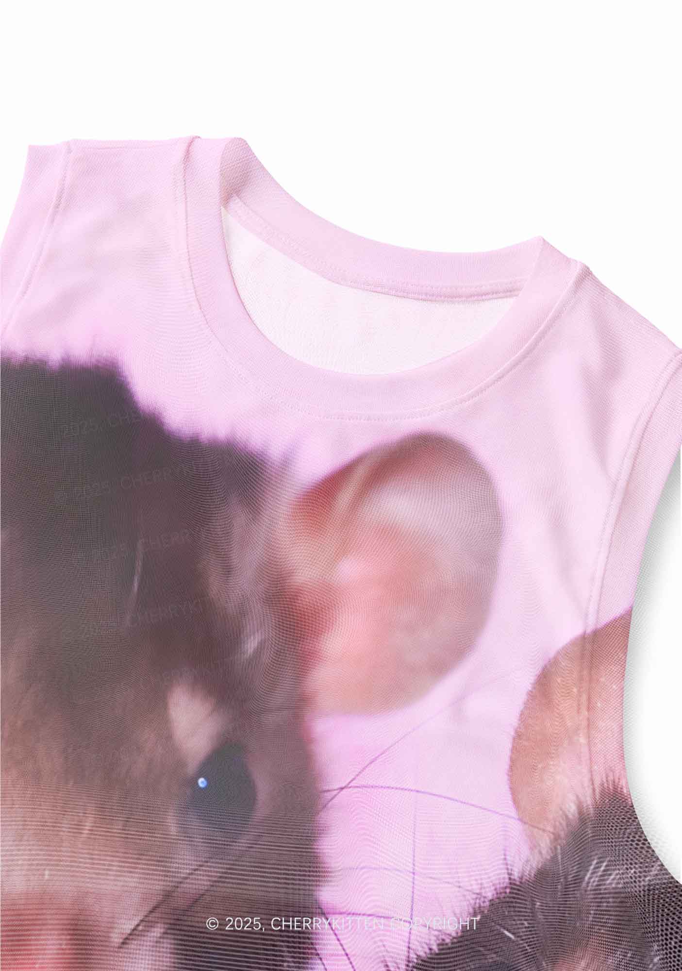 Cheese Rat Y2K Mesh Muscle Tank Cherrykitten