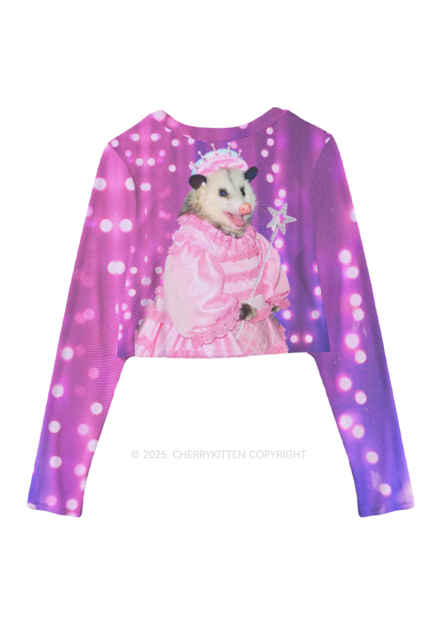 Magic Pink Ratz Y2K Mesh Long Sleeve Crop Top Cherrykitten