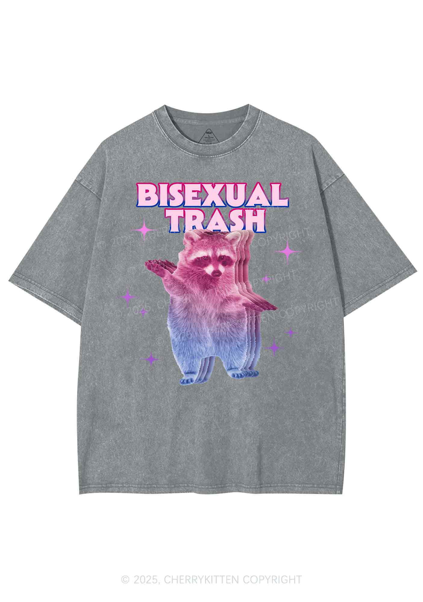 Bisexual Trash Raccoon Pride Y2K Shirts Washed Tee Cherrykitten