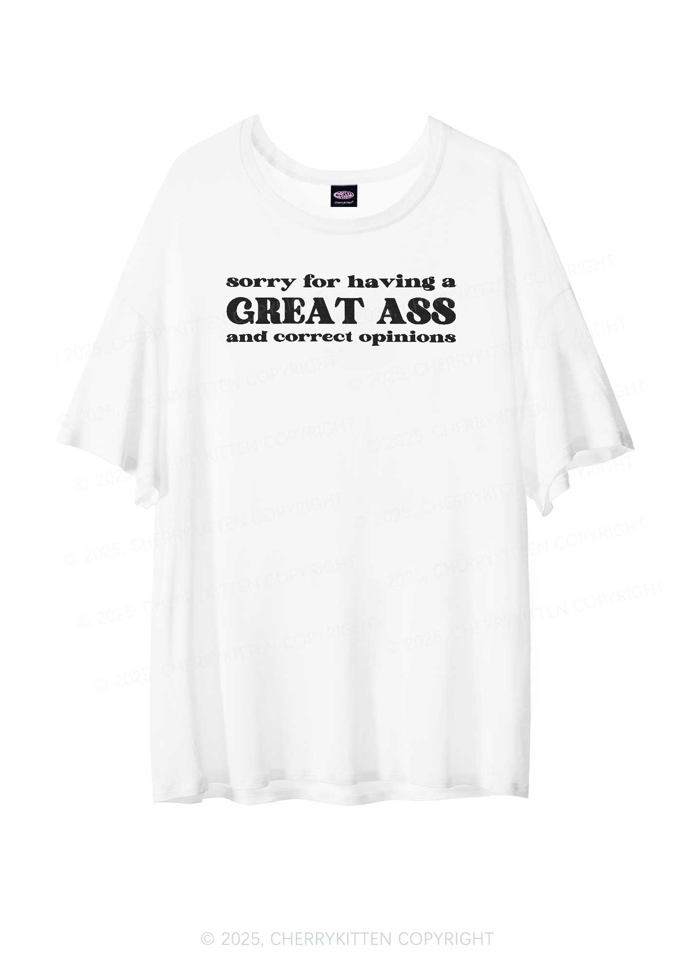 Sorry For Having Great Axx Y2K Sheer Boyfriend Tee Cherrykitten