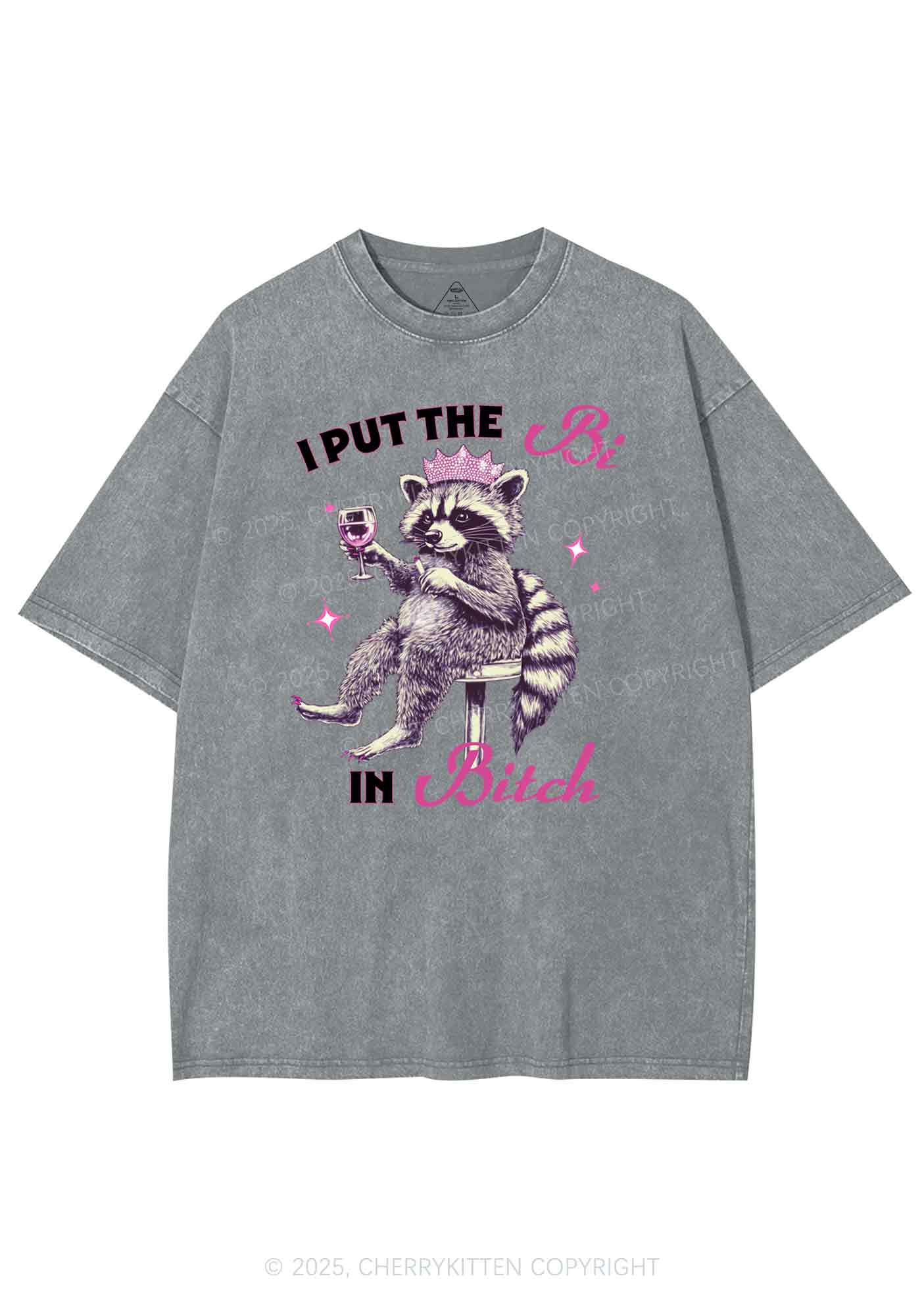 Bi Bxxch Raccoon Pride Y2K Shirts Washed Tee Cherrykitten
