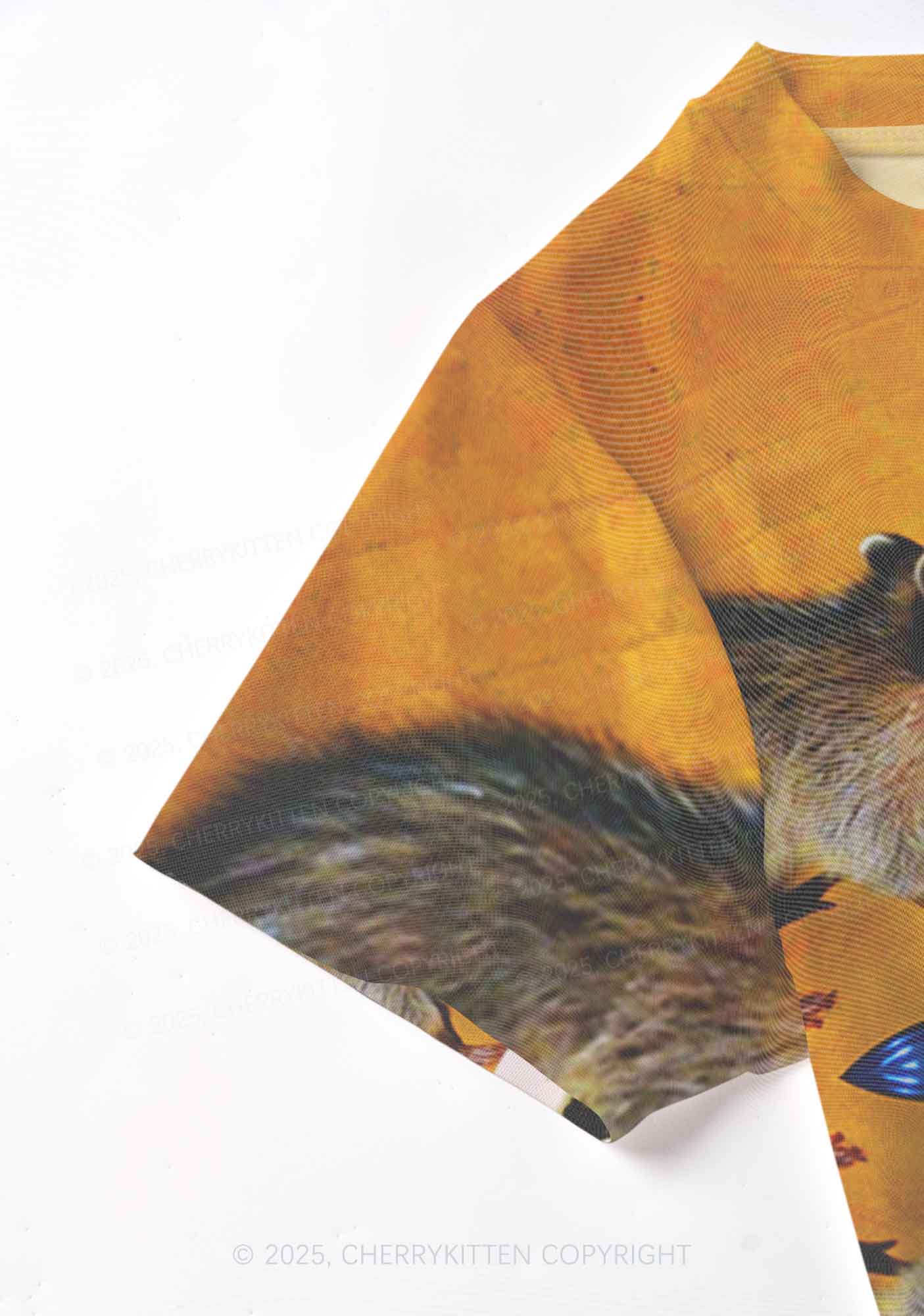 Raccoon Meal Y2K Mesh Crop Top Cherrykitten
