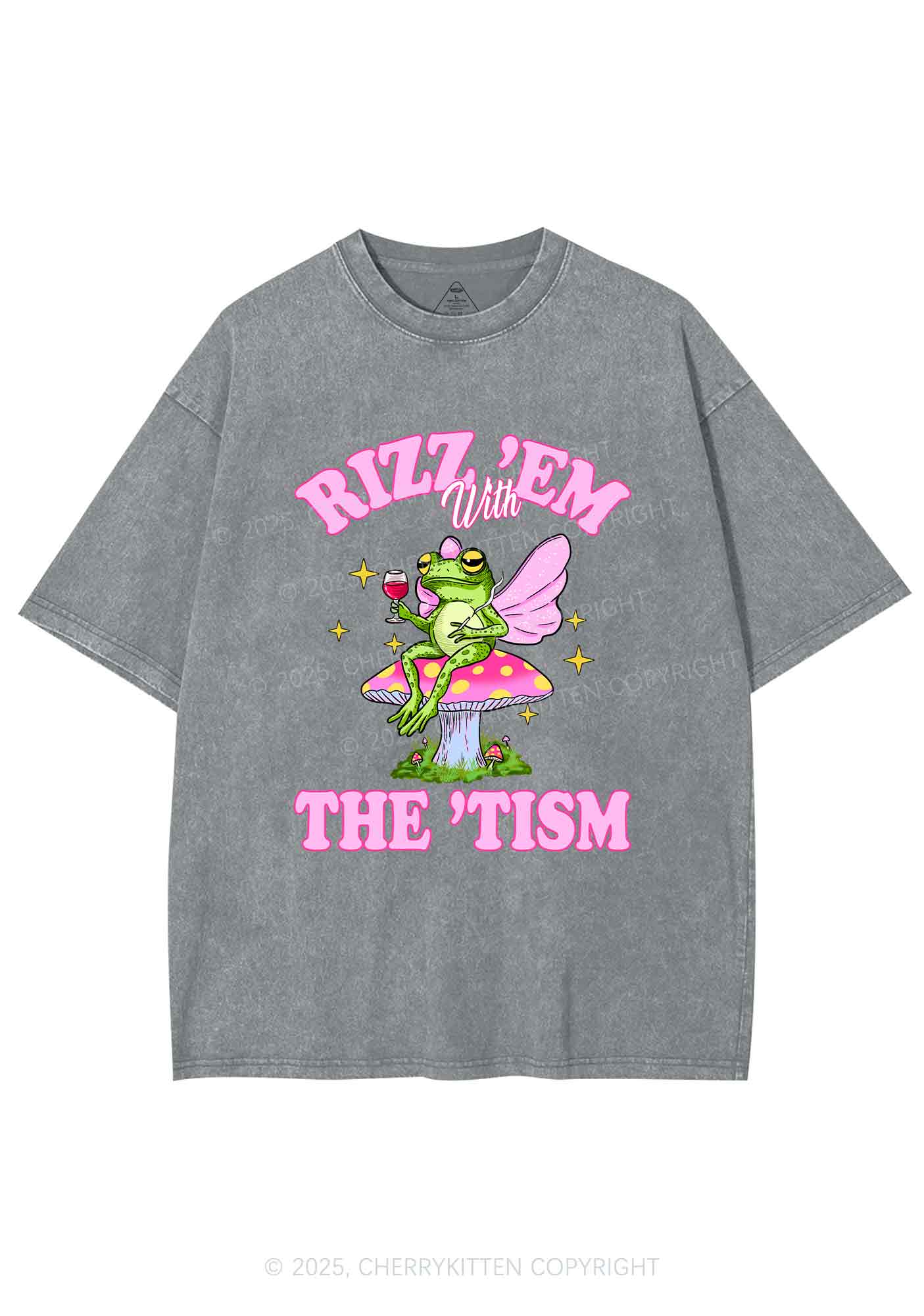 Fairy Frog Rizz Tism Y2K Shirts Washed Tee Cherrykitten