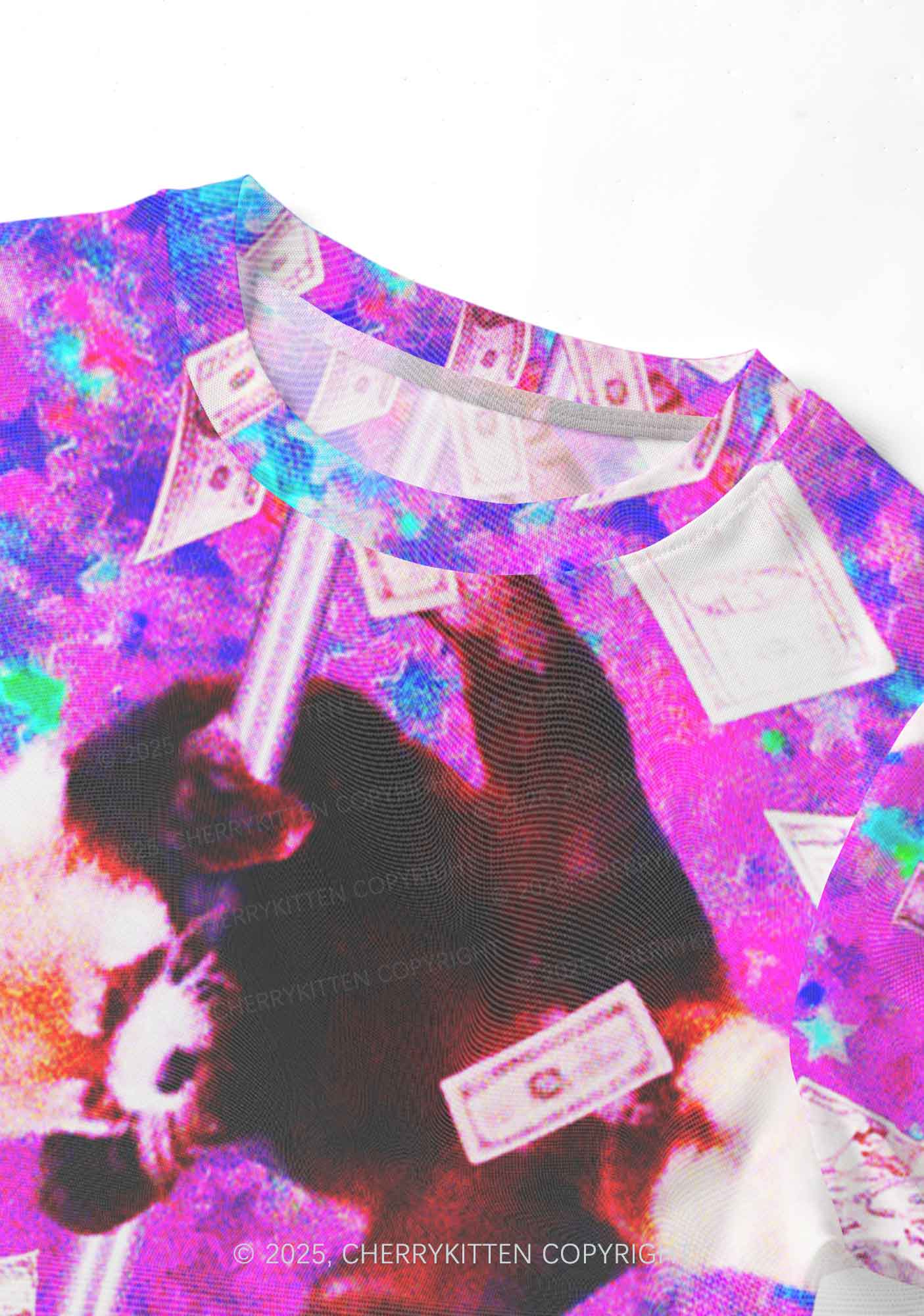 Pole Dancing Raccoon Y2K Mesh Crop Top Cherrykitten