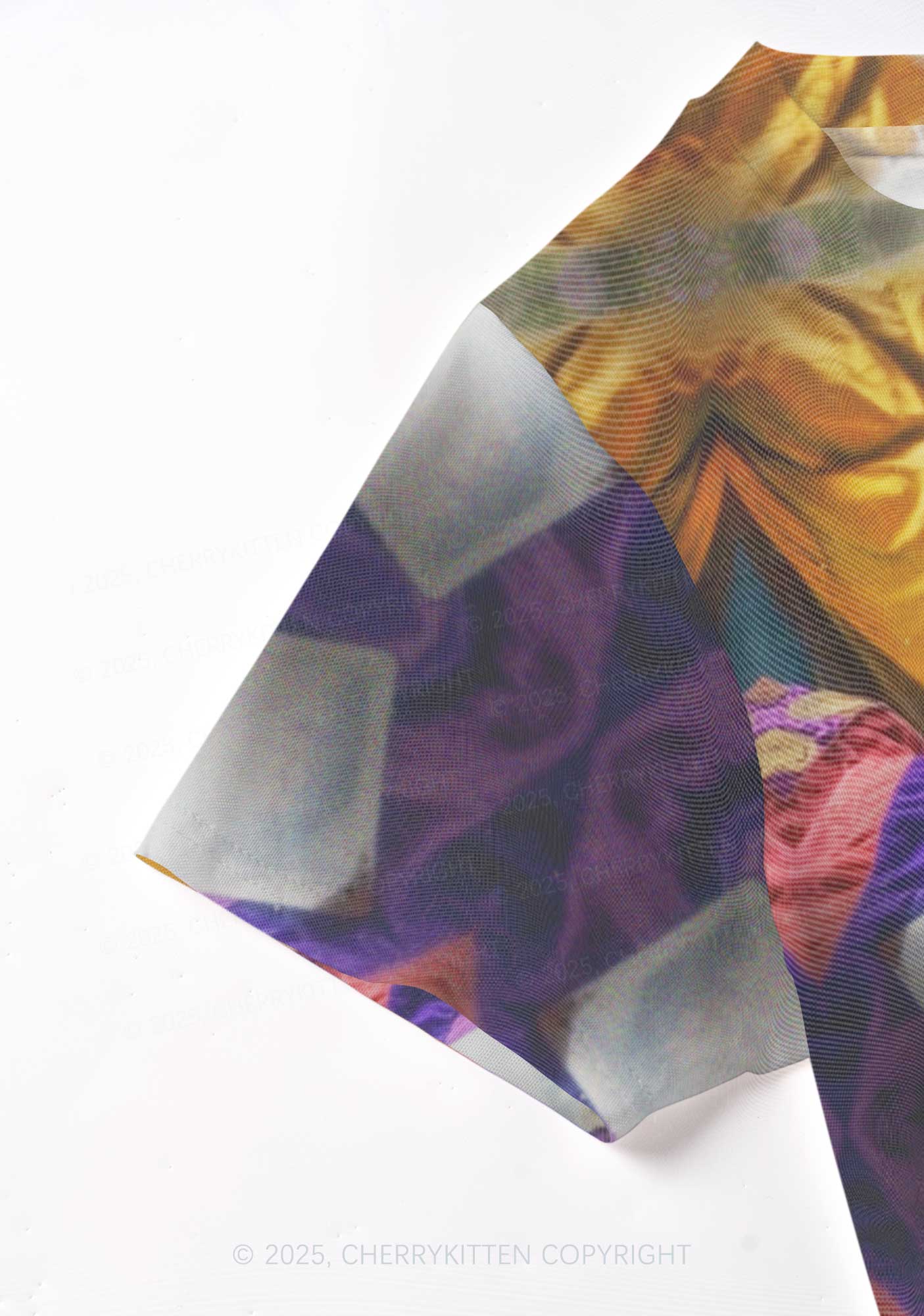 Tarot Raccoon Y2K Mesh Crop Top Cherrykitten