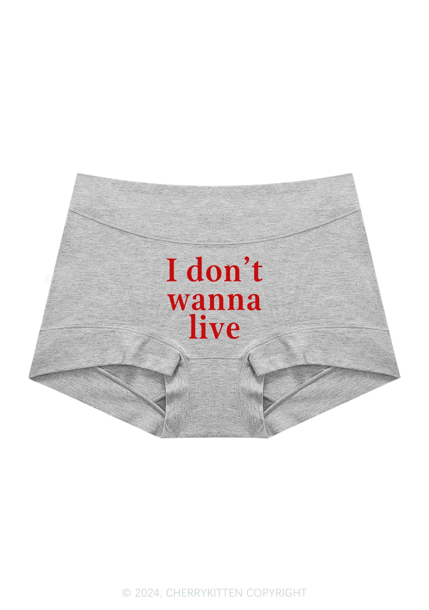 I Don't Wanna Live Y2K Mid Rise Waist Boyshort Cherrykitten