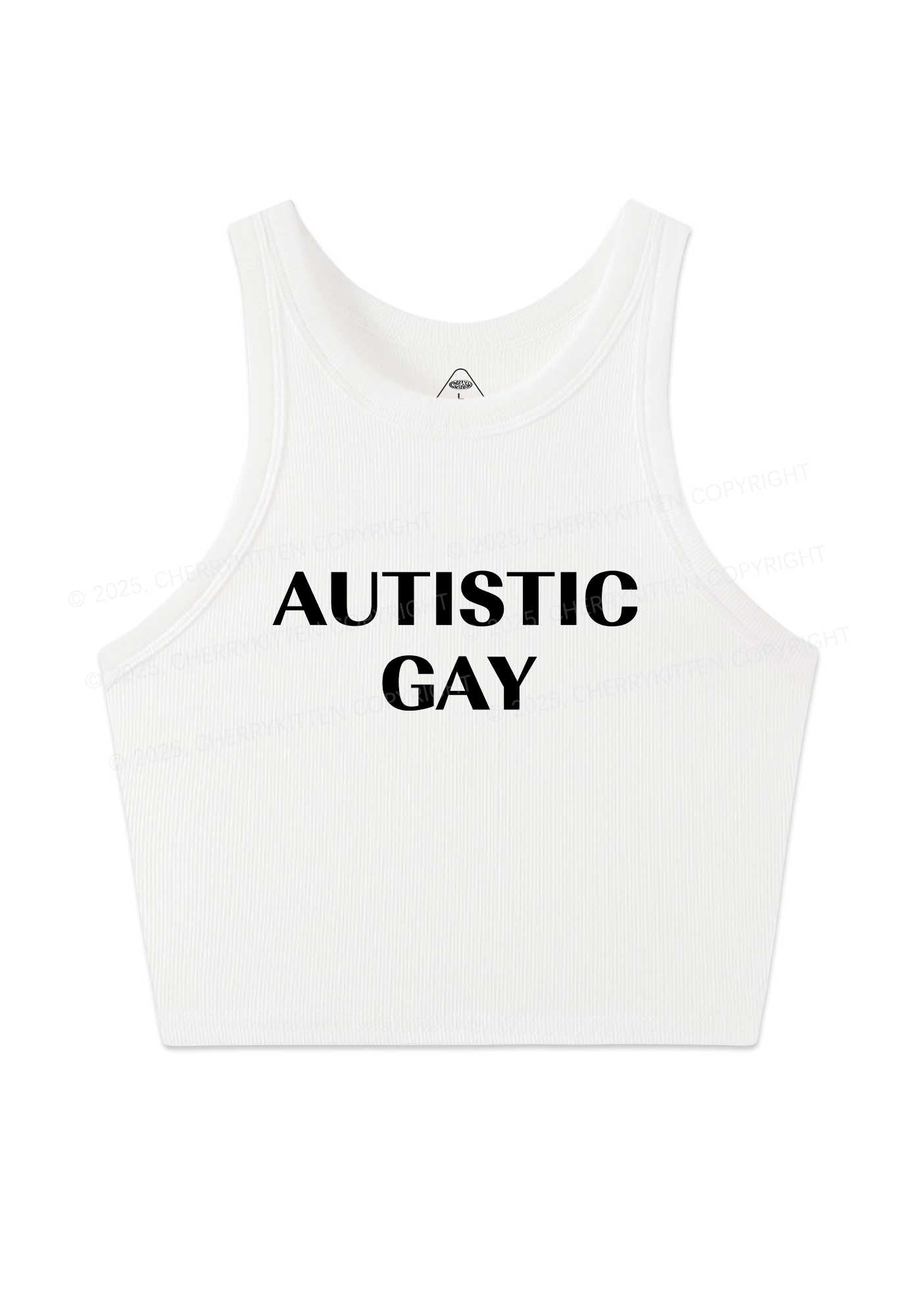 Autistic Gay Pride Y2K Crop Tank Top Cherrykitten
