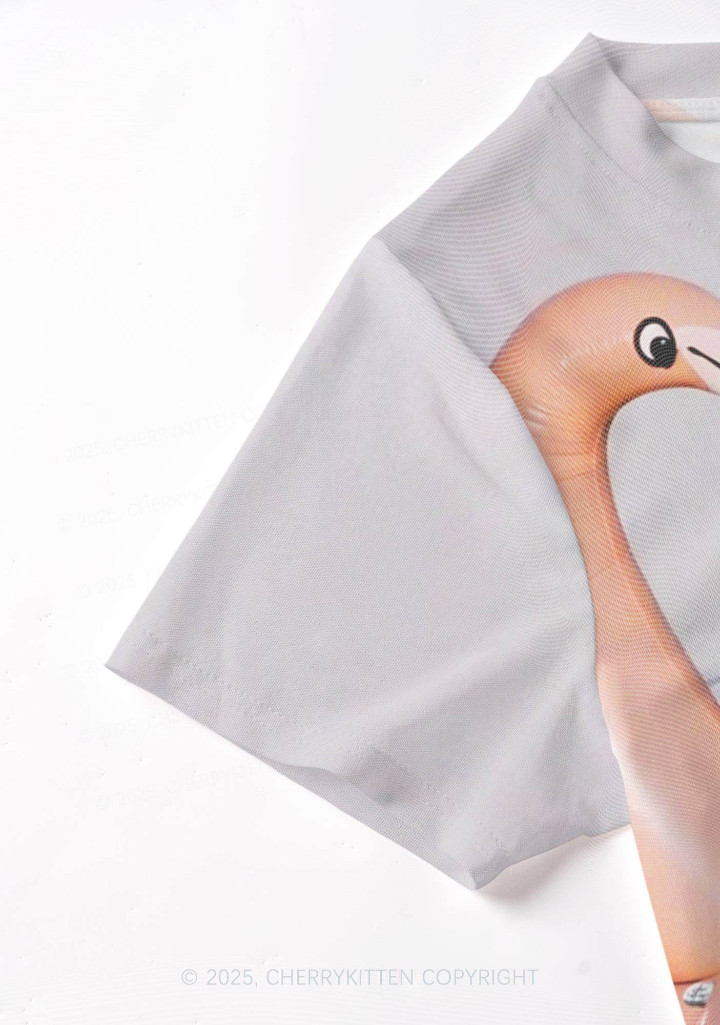 Flamingo Raccoon Y2K Mesh Crop Top Cherrykitten